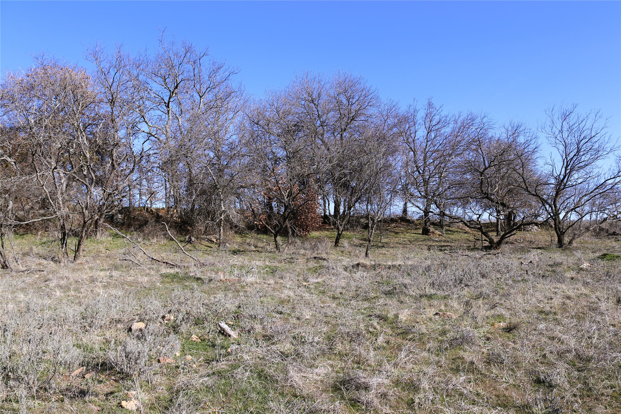 40 Acres Sears Mayfield Road Henrietta TX 76365