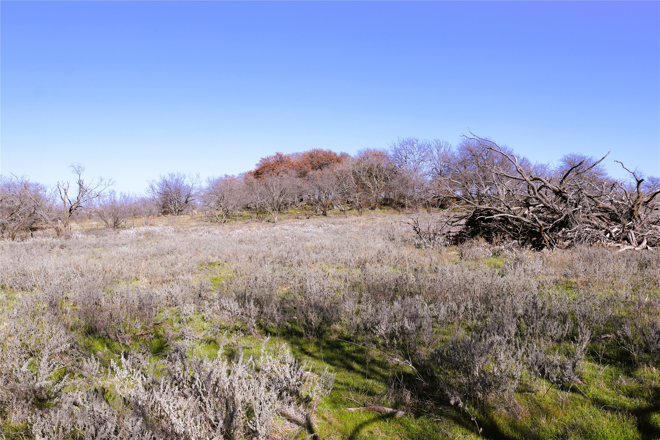 40 Acres Sears Mayfield Road Henrietta TX 76365
