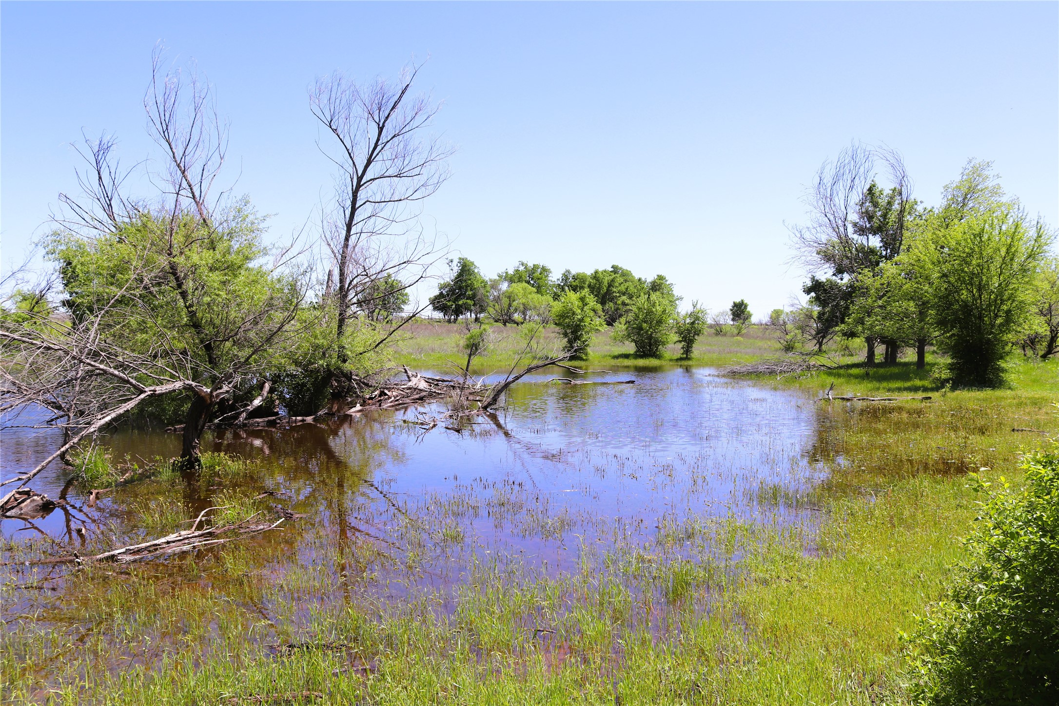 40 Acres Sears Mayfield Road Henrietta TX 76365