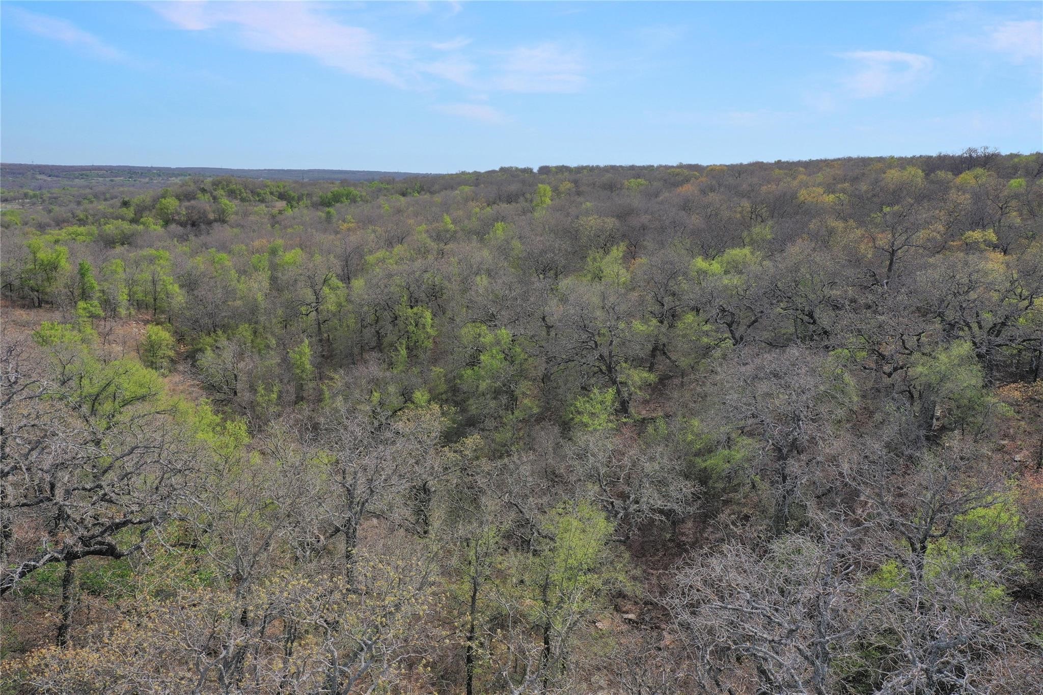 Tbd Slusher Road Jacksboro TX 76458