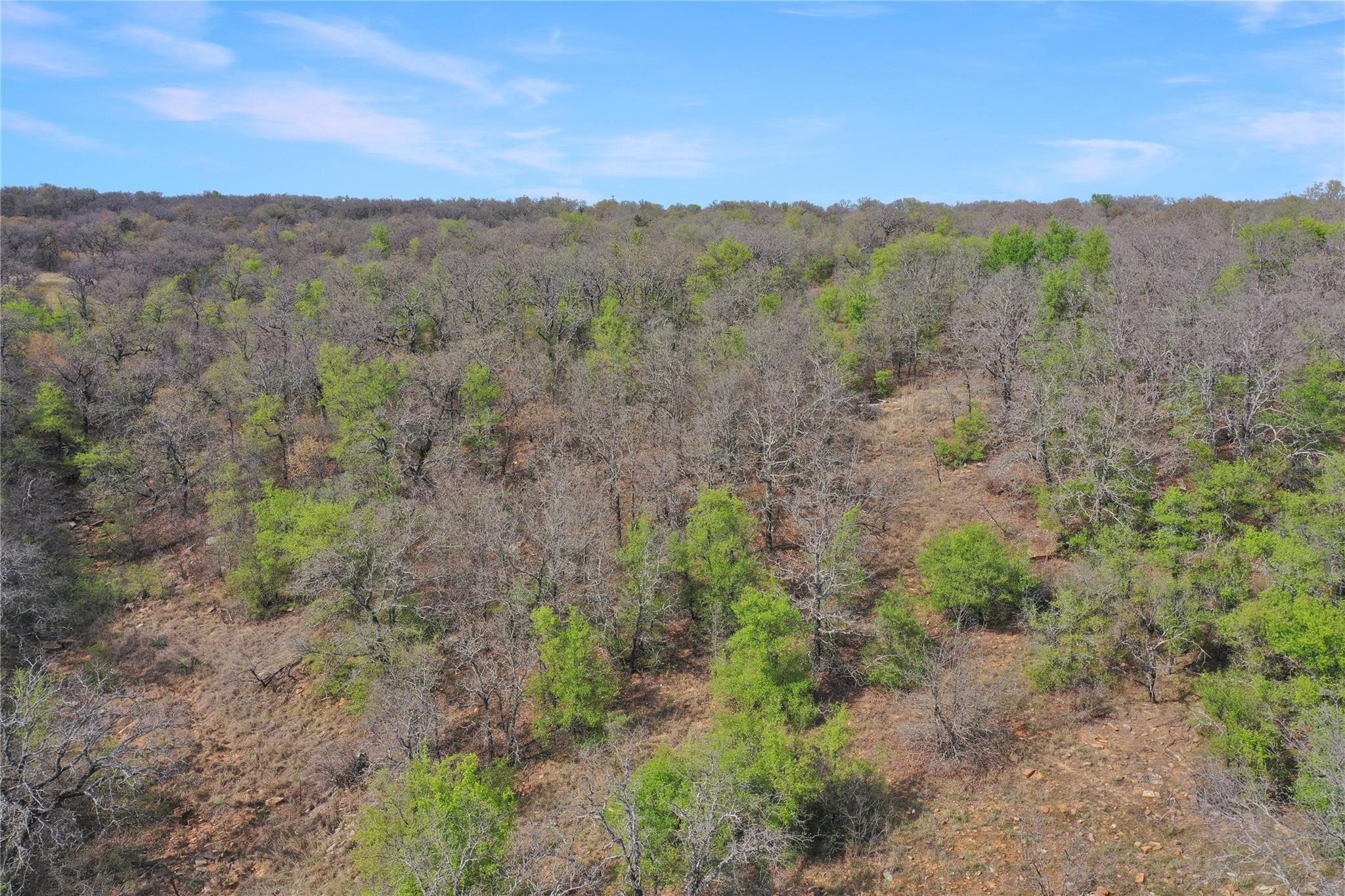 Tbd Slusher Road Jacksboro TX 76458