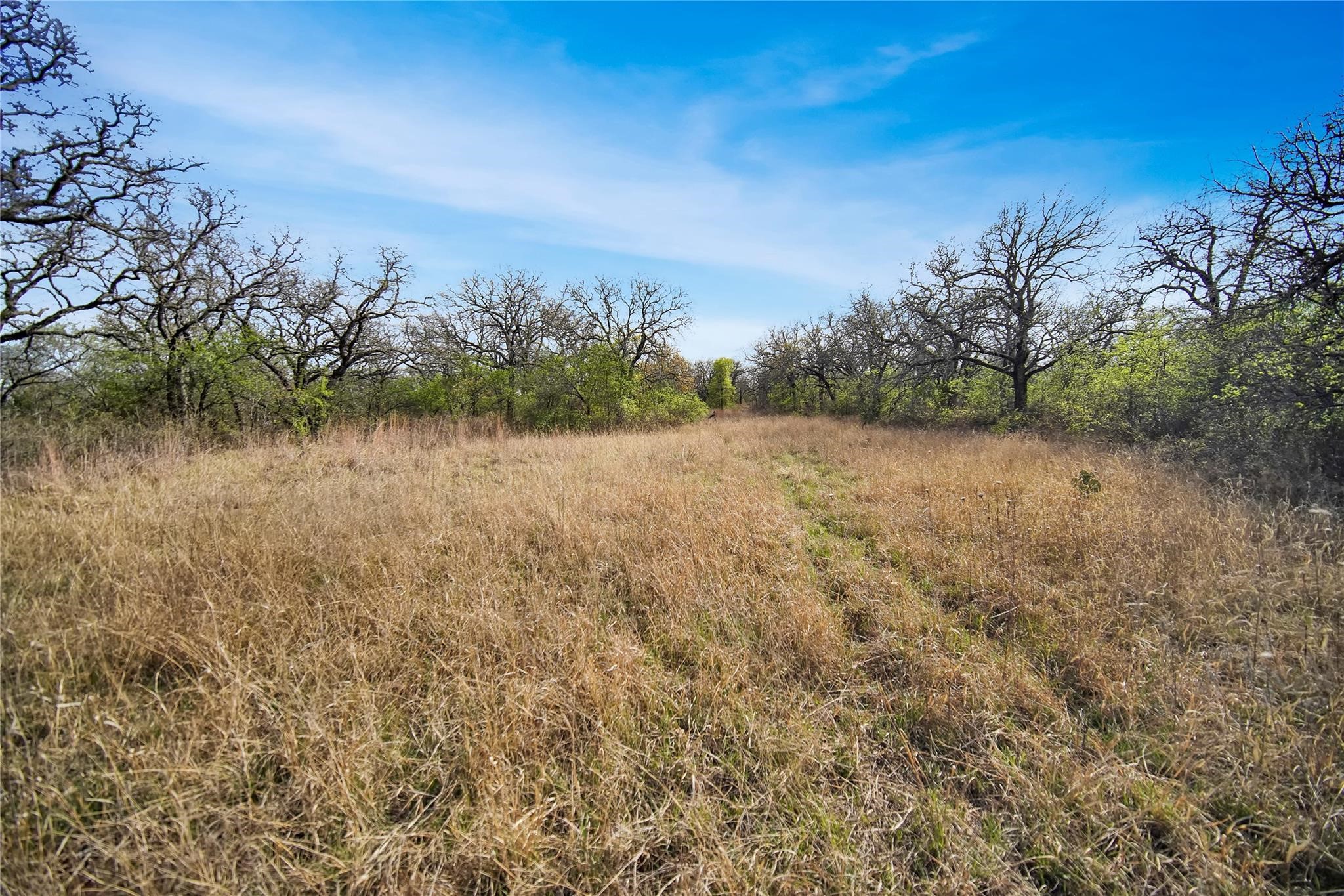 Tbd Slusher Road Jacksboro TX 76458