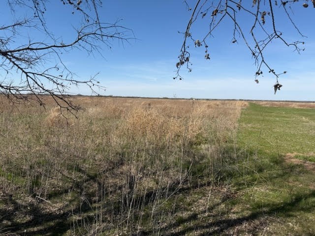 Lot 3 R G Loop Road Olney TX 76374