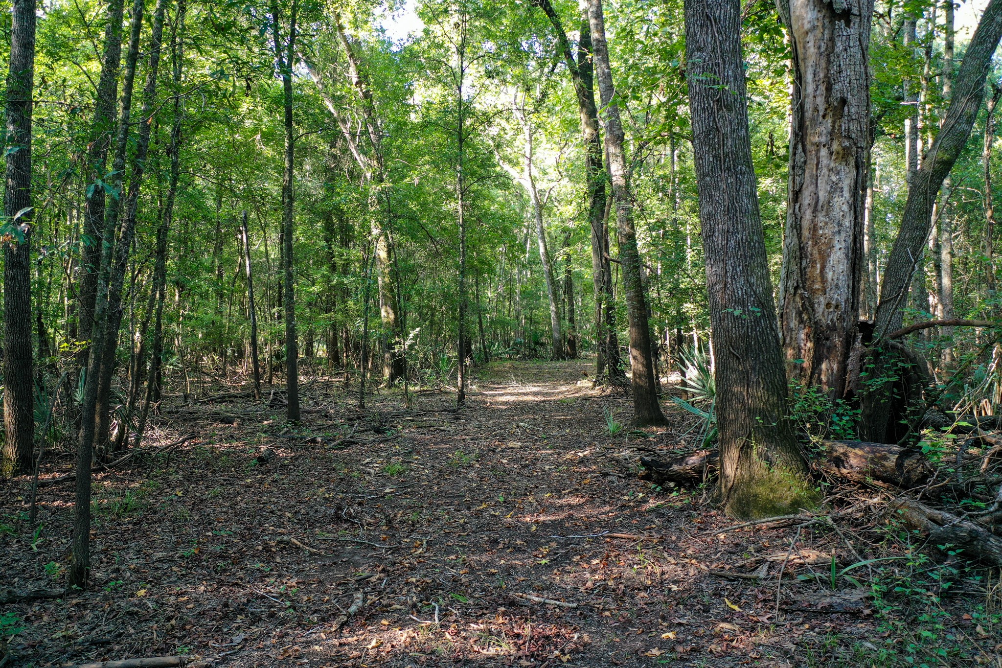 0 Private Road 1428 Centerville TX 75833