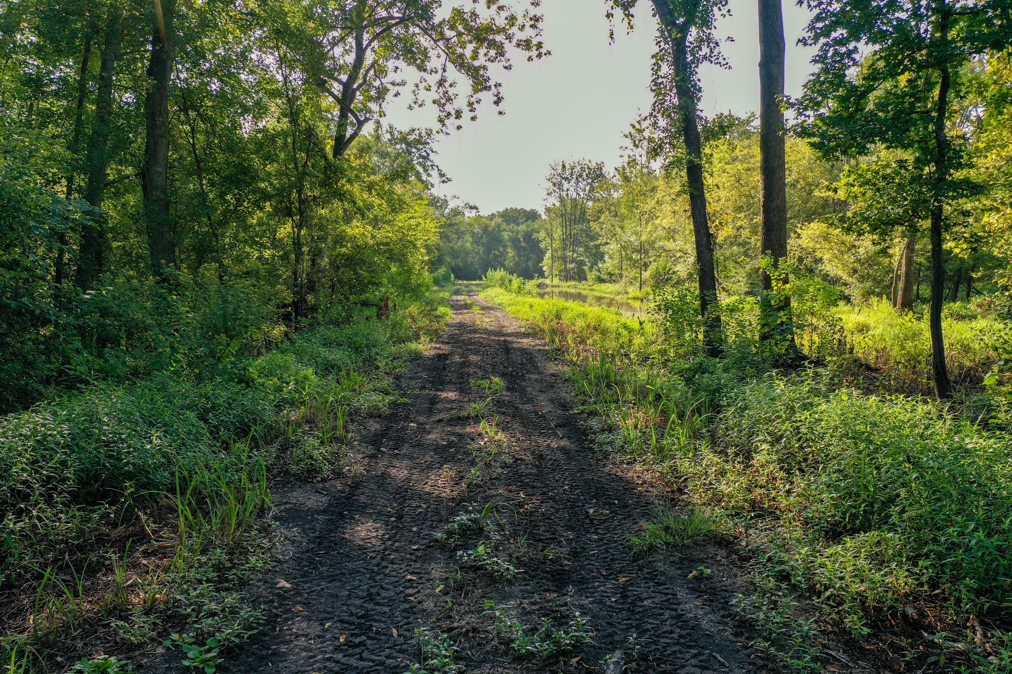 0 Private Road 1428 Centerville TX 75833