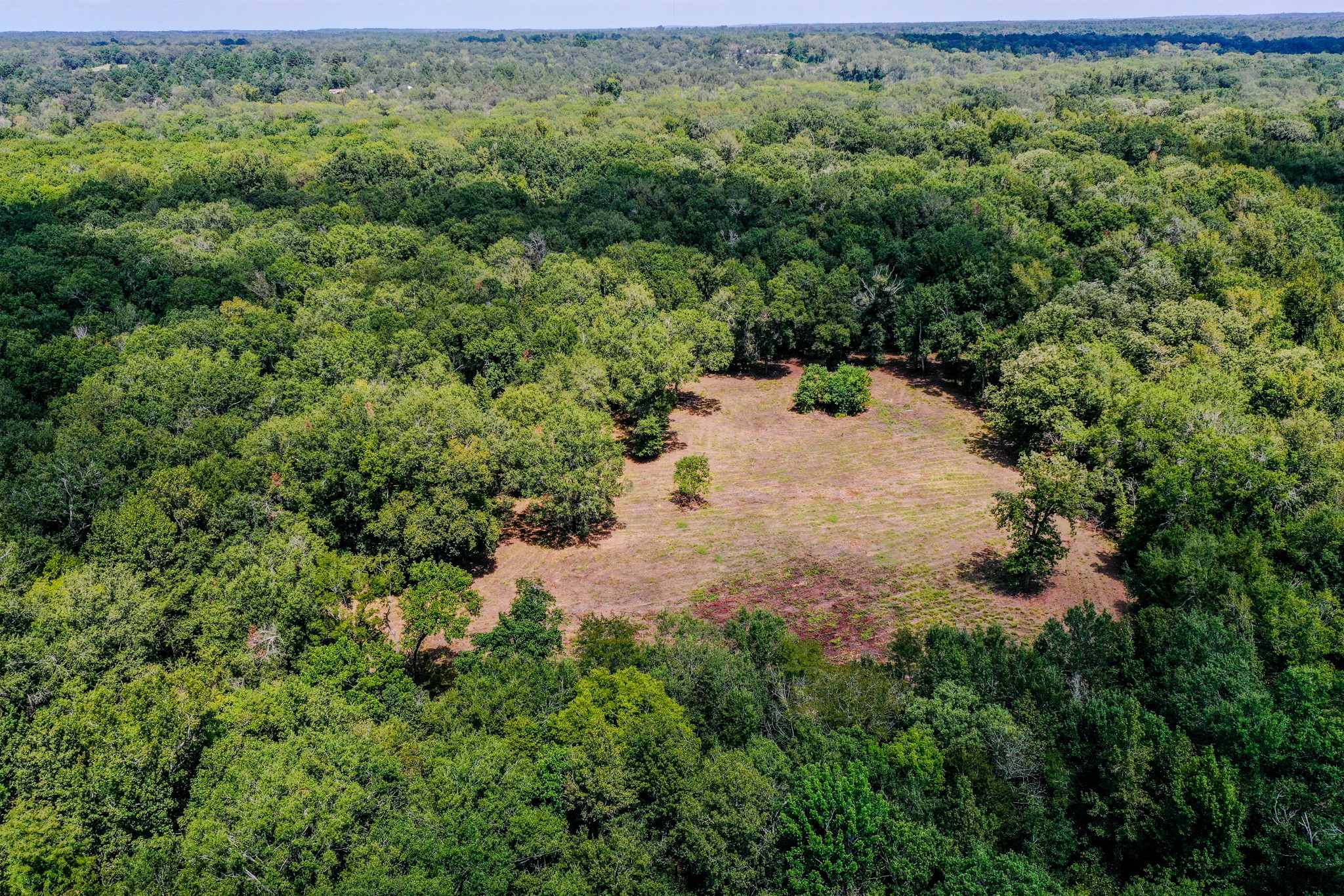 0 Private Road 1428 Centerville TX 75833