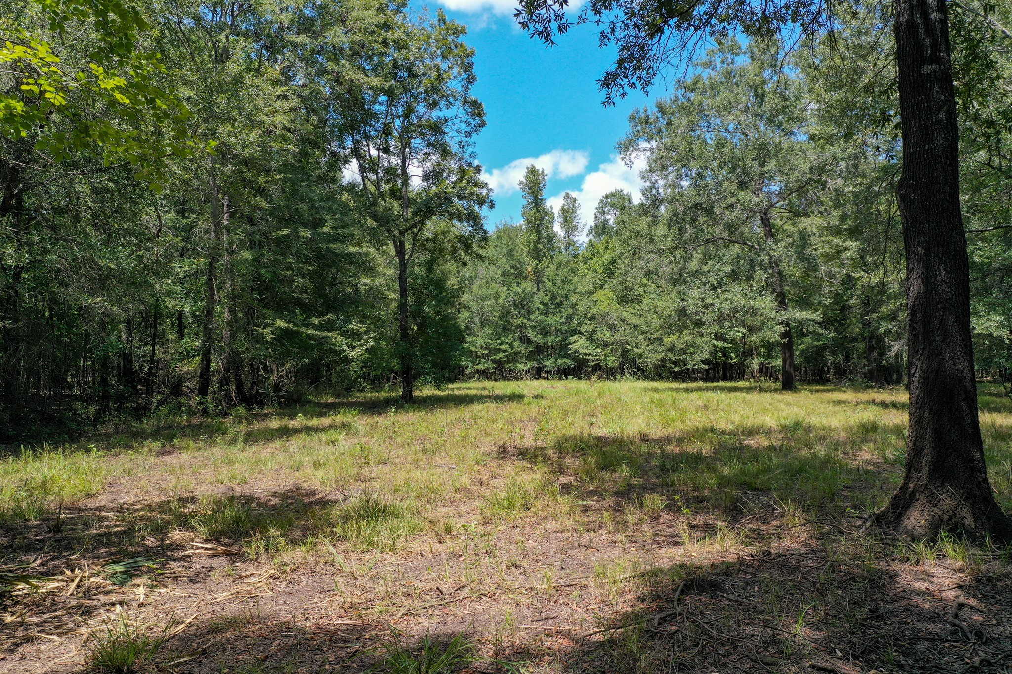 0 Private Road 1428 Centerville TX 75833