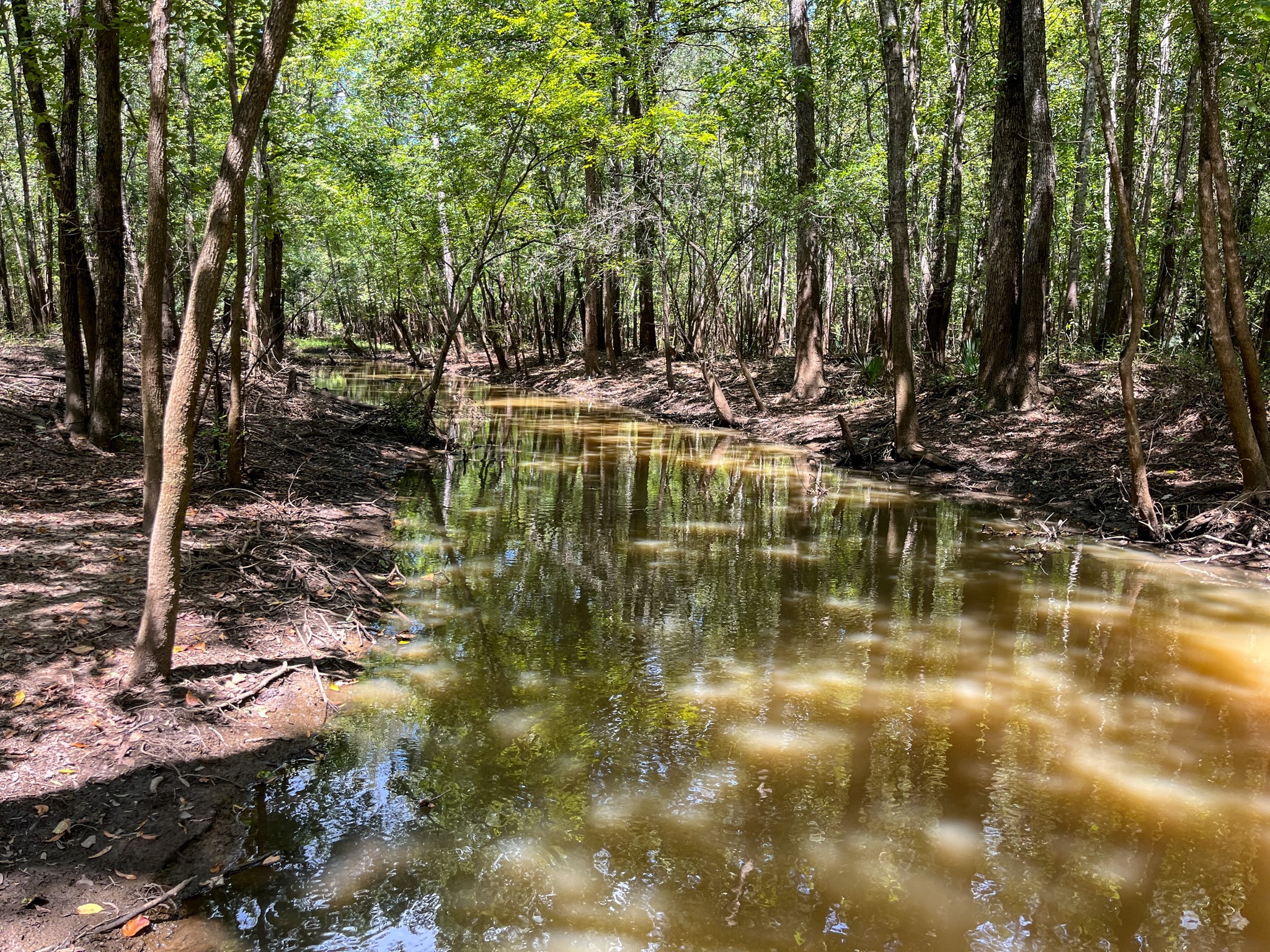 0 Private Road 1428 Centerville TX 75833
