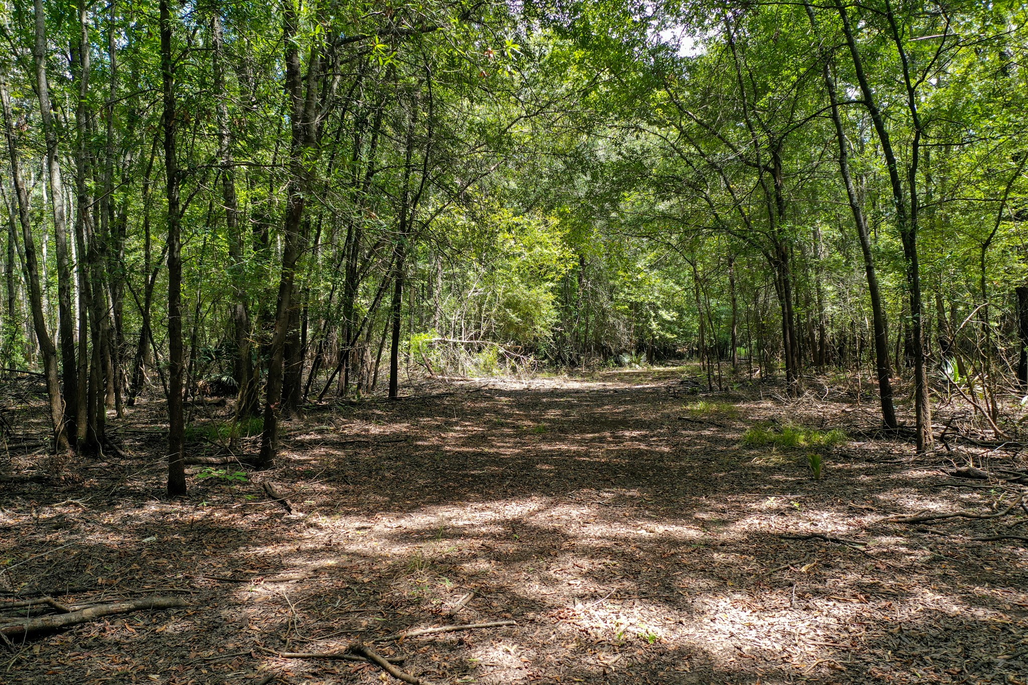 0 Private Road 1428 Centerville TX 75833