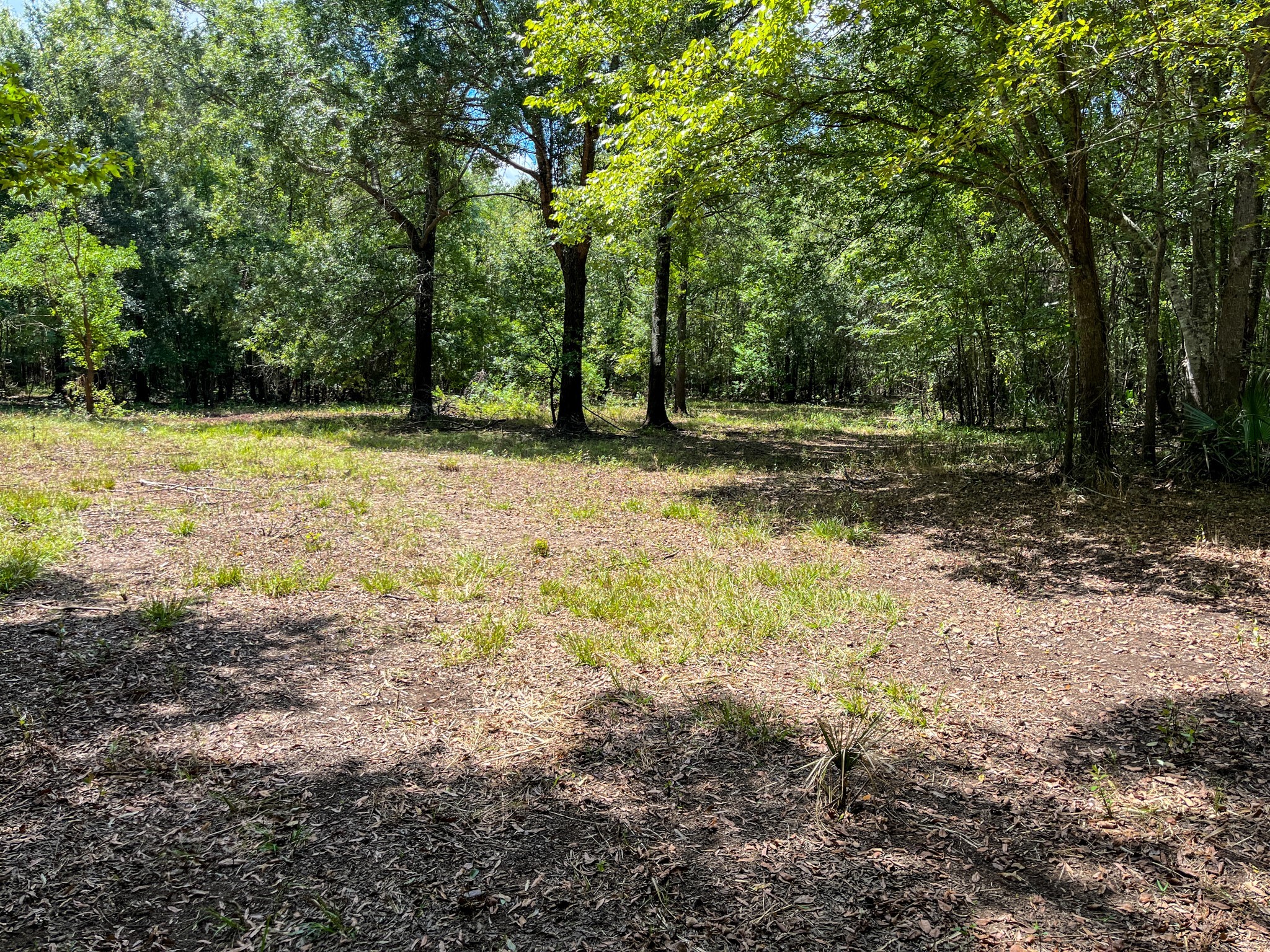 0 Private Road 1428 Centerville TX 75833