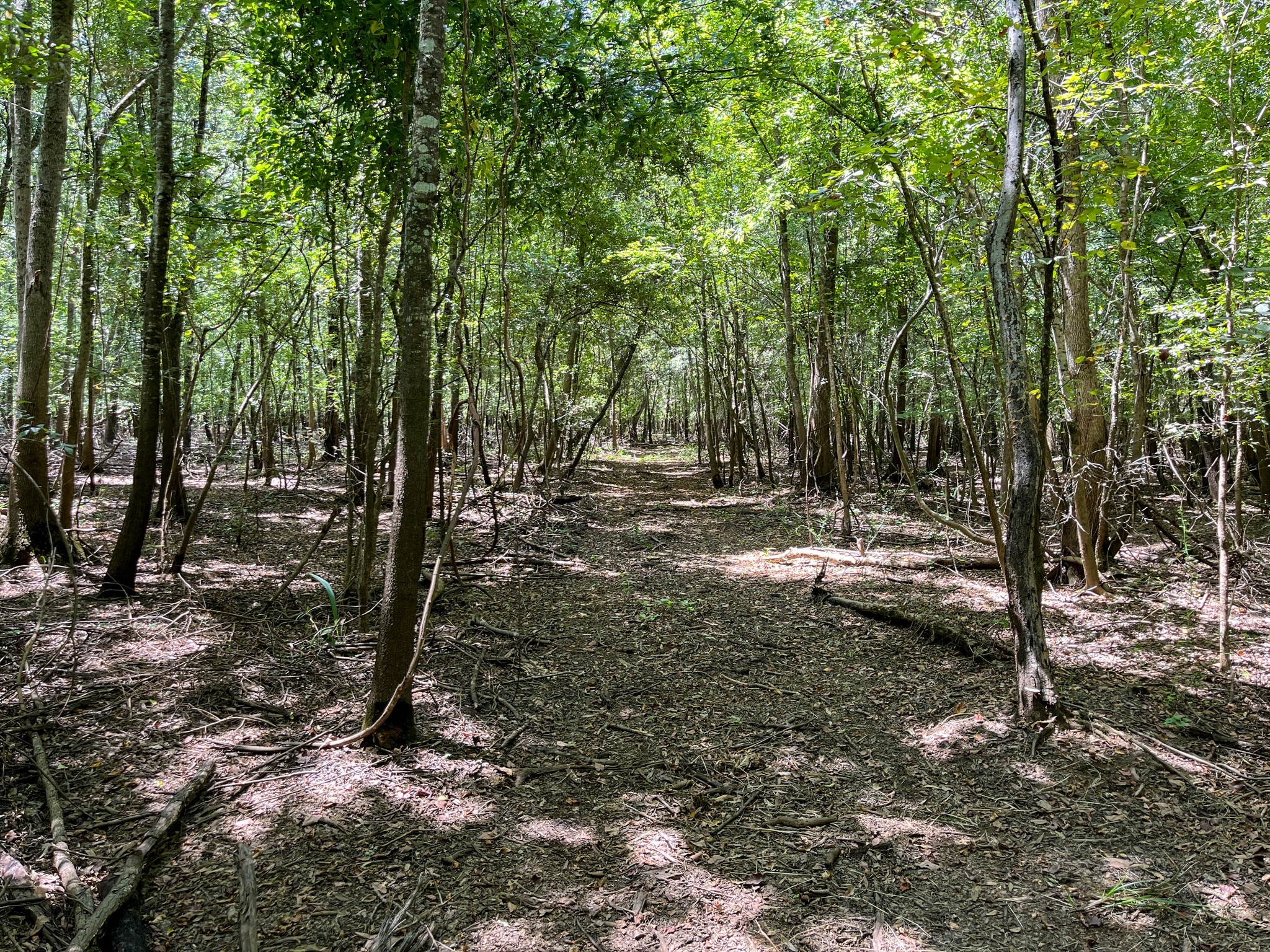 0 Private Road 1428 Centerville TX 75833