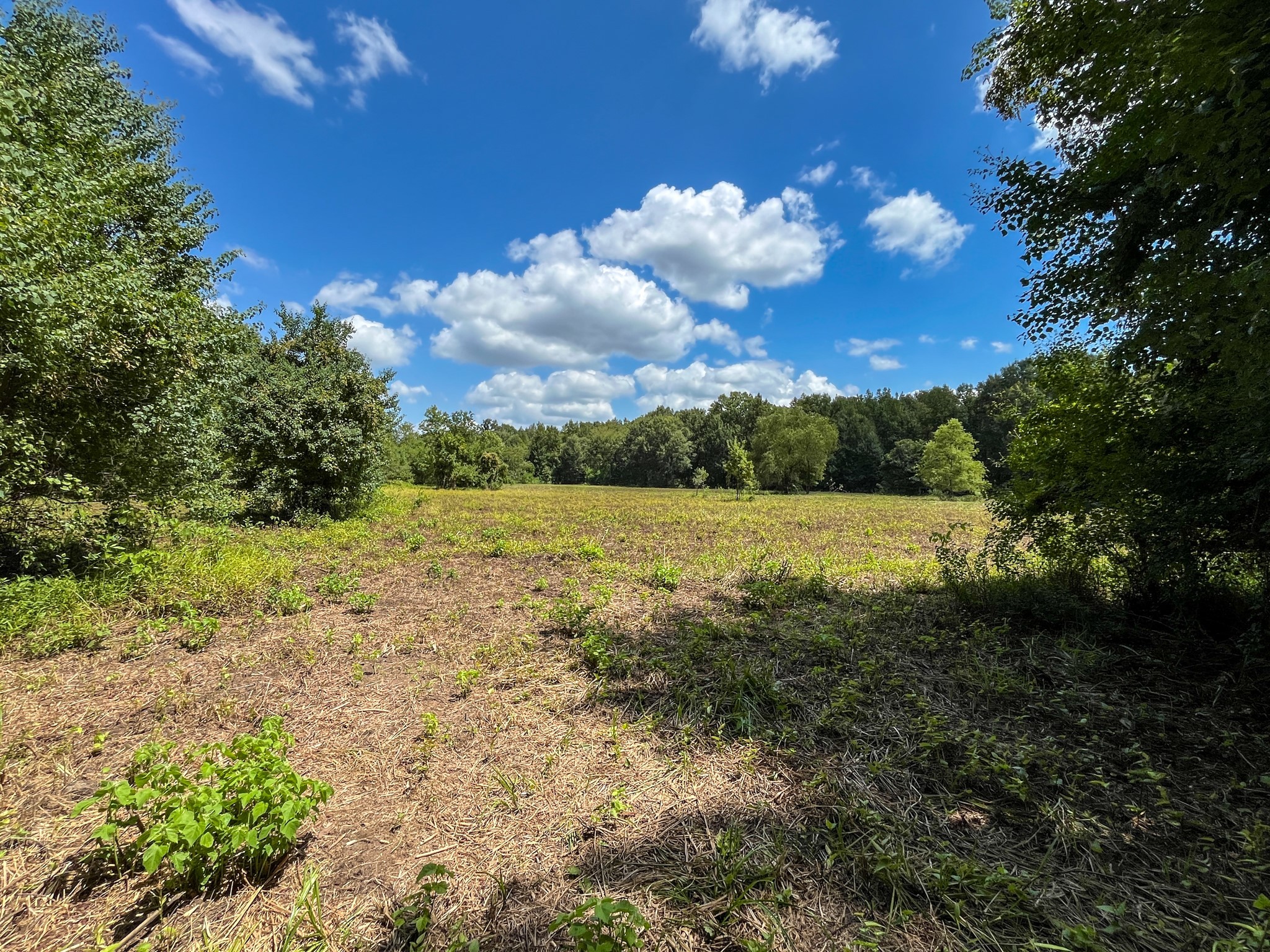 0 Private Road 1428 Centerville TX 75833