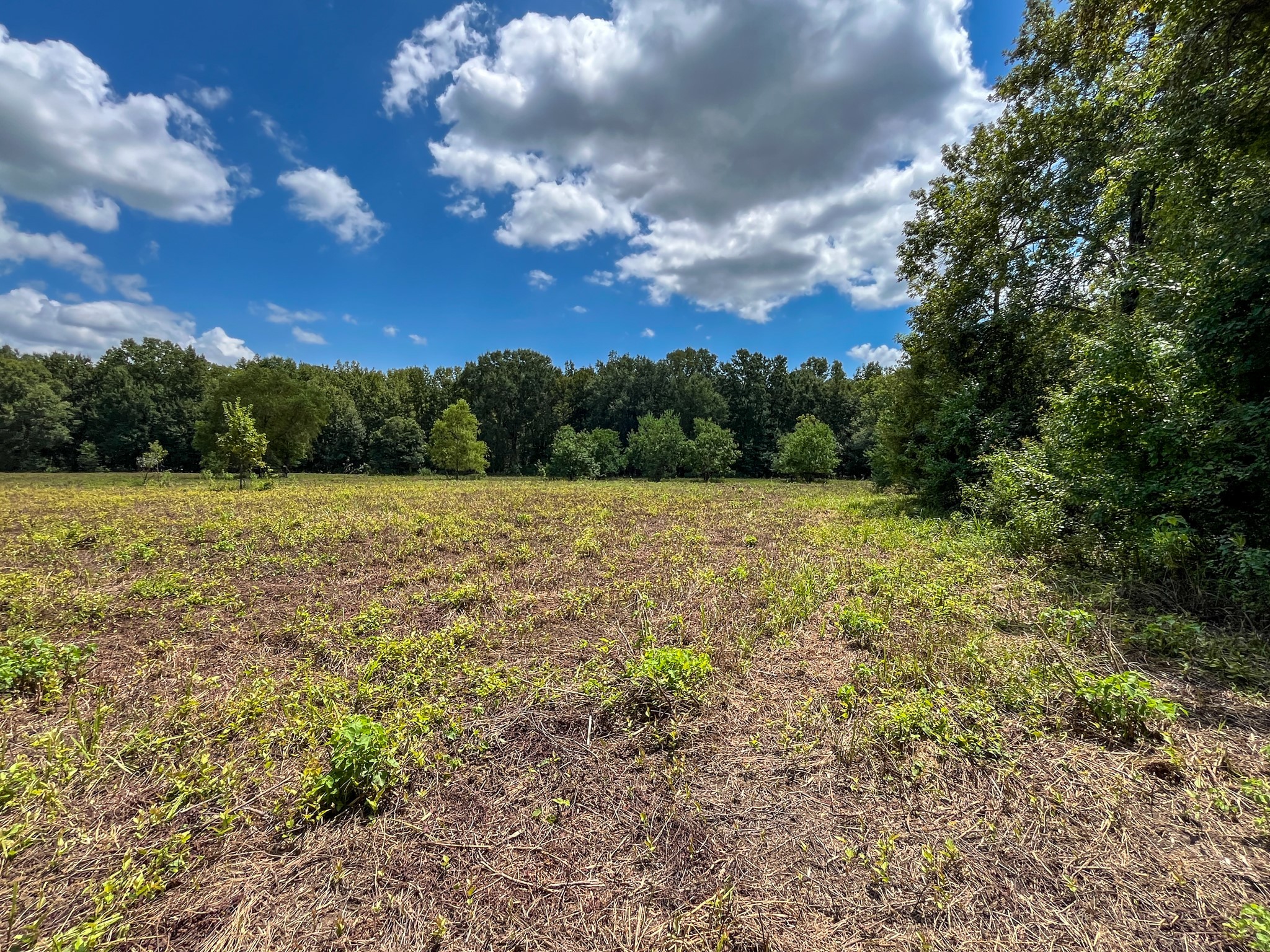 0 Private Road 1428 Centerville TX 75833