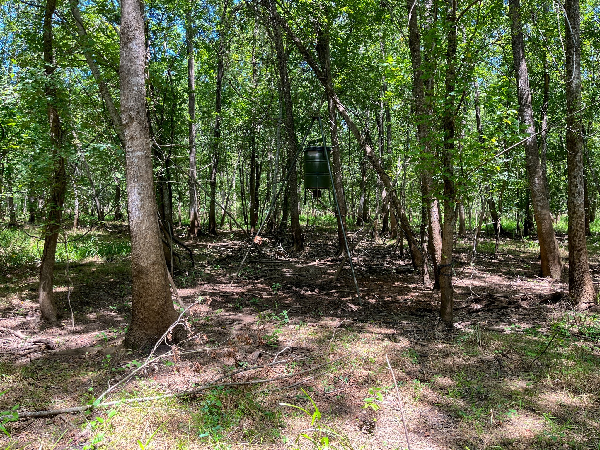 0 Private Road 1428 Centerville TX 75833