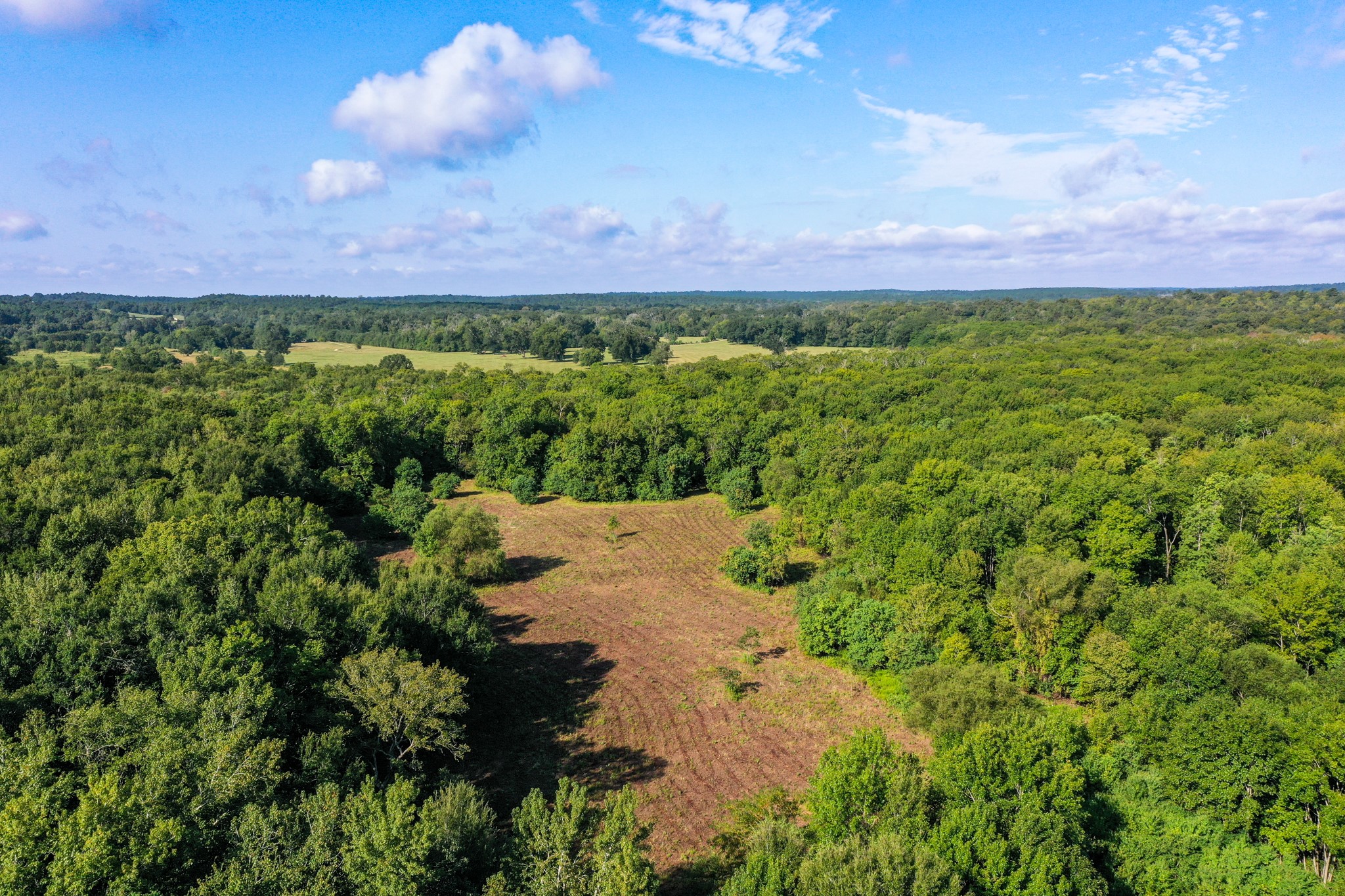 0 Private Road 1428 Centerville TX 75833