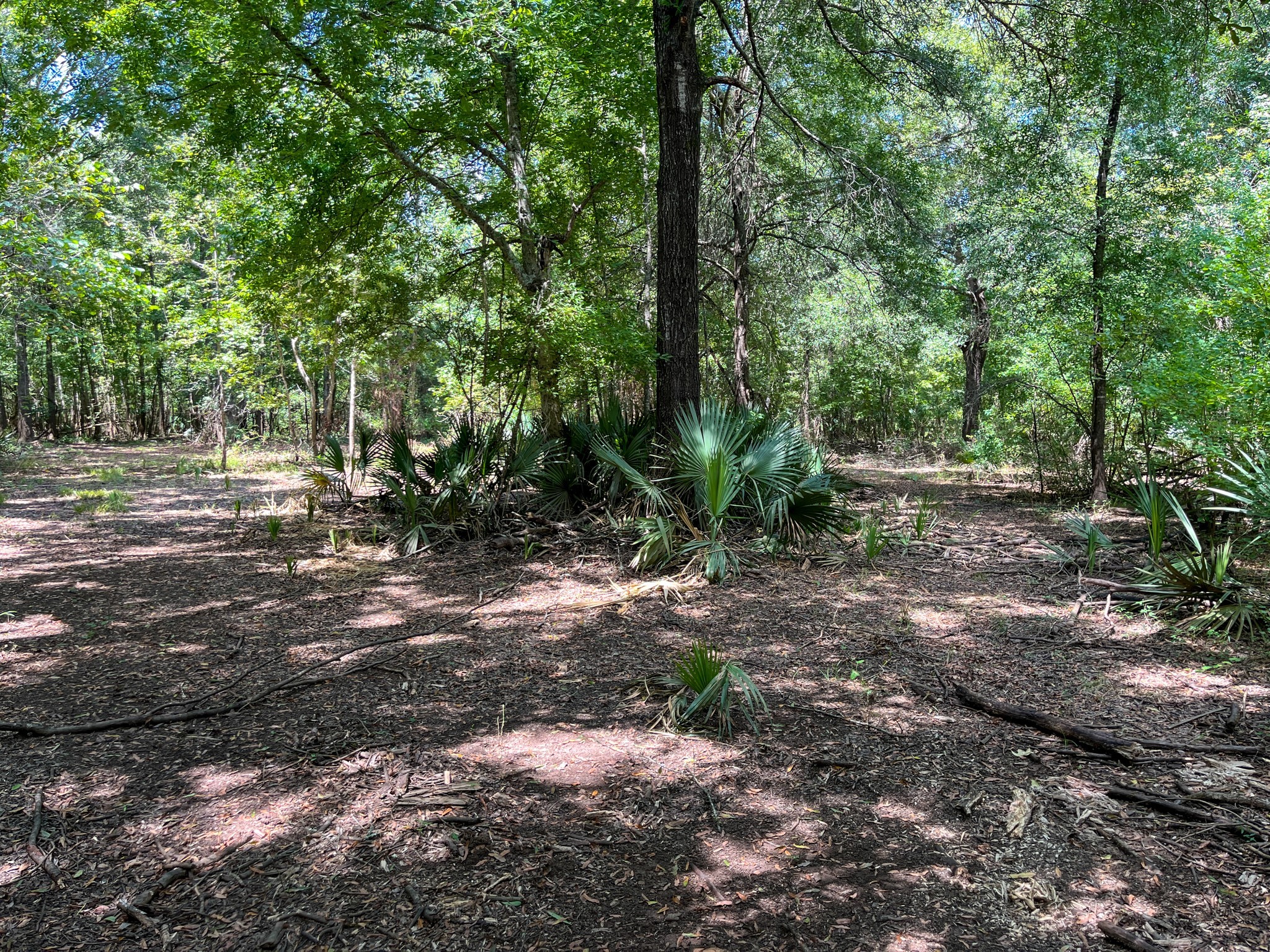 0 Private Road 1428 Centerville TX 75833