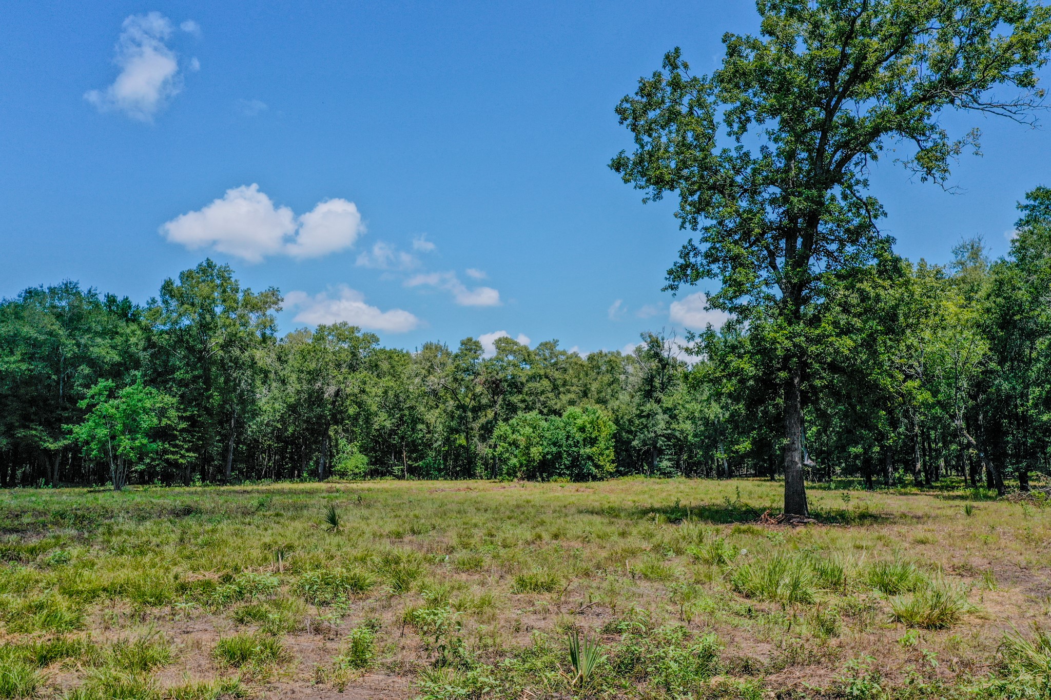 0 Private Road 1428 Centerville TX 75833