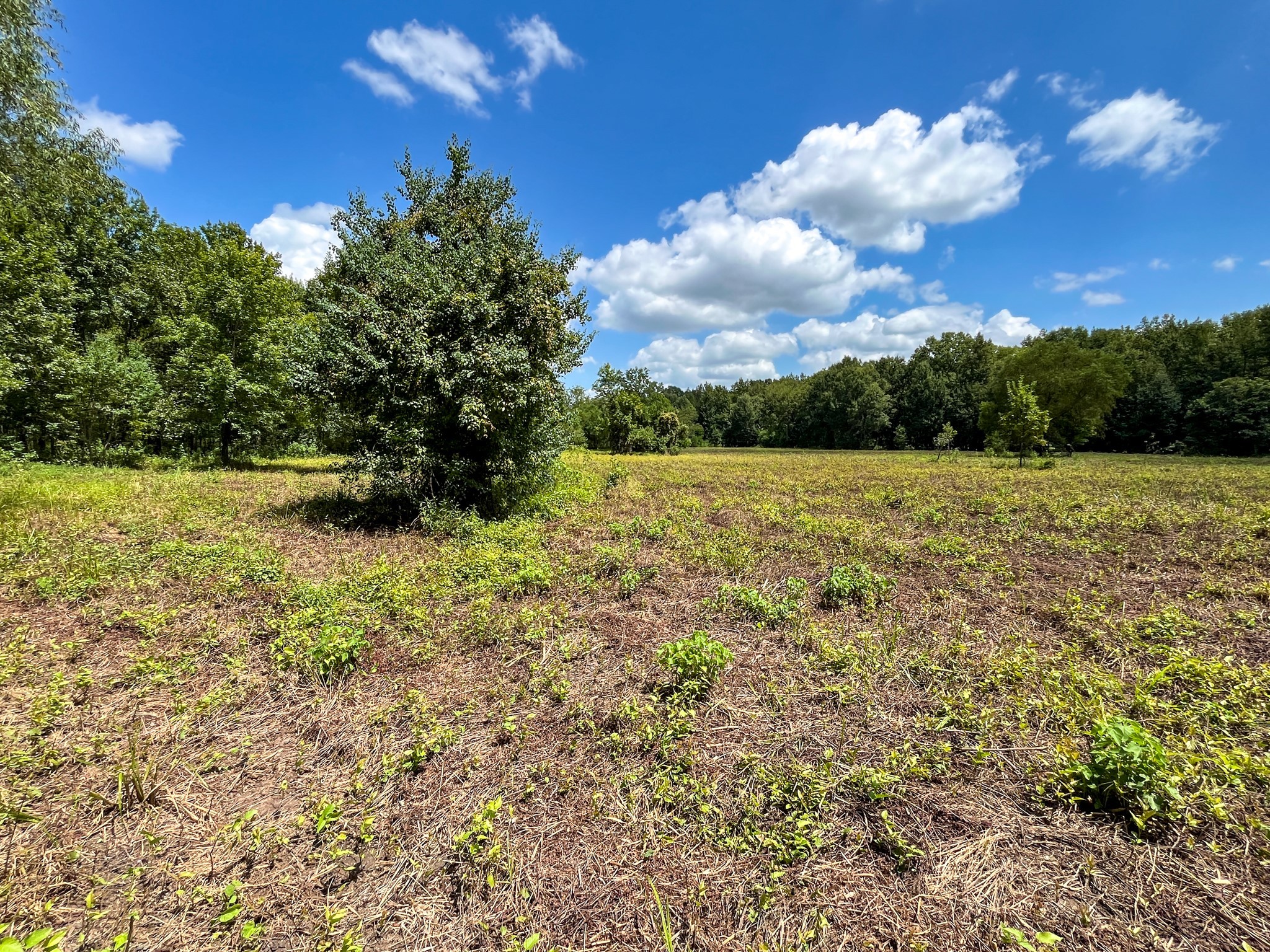 0 Private Road 1428 Centerville TX 75833