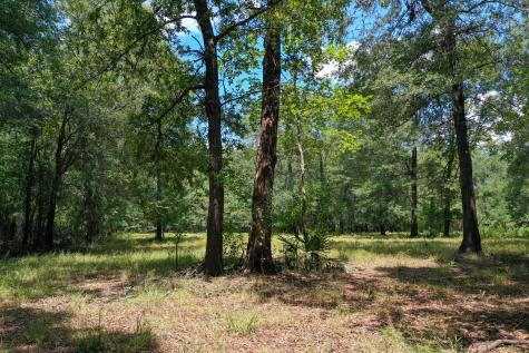 0 Private Road 1428 Centerville TX 75833