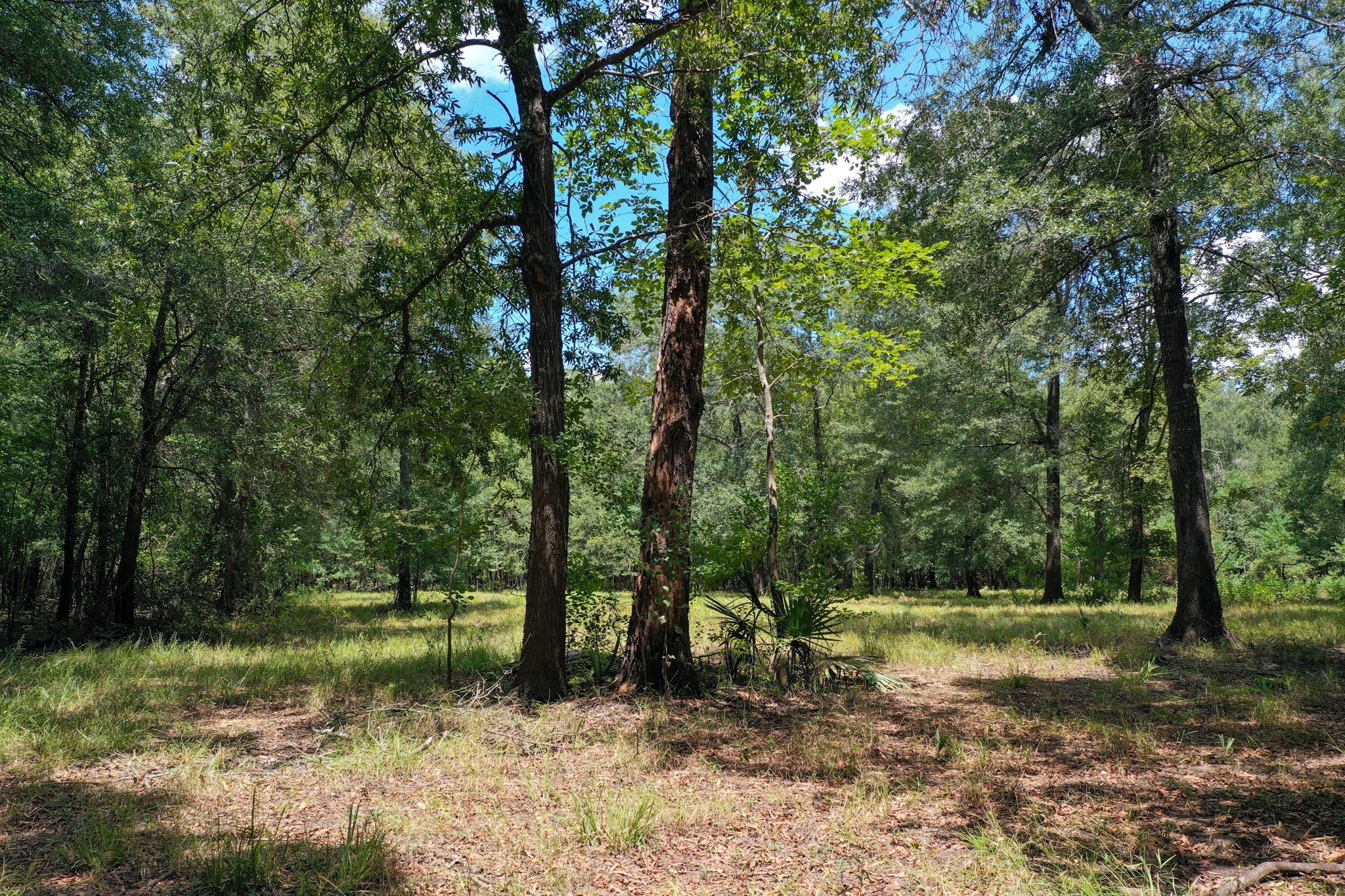 0 Private Road 1428 Centerville TX 75833