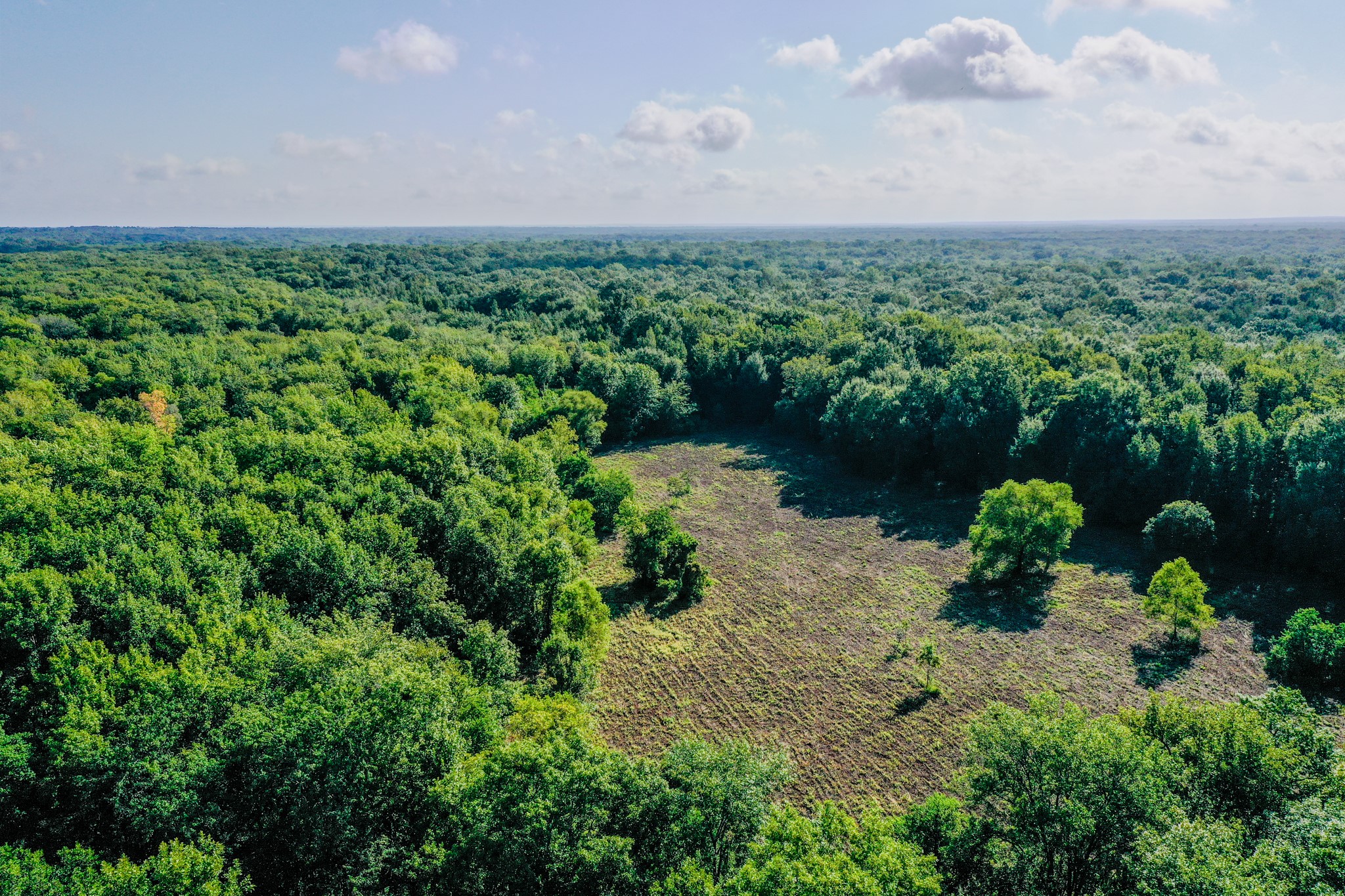 0 Private Road 1428 Centerville TX 75833