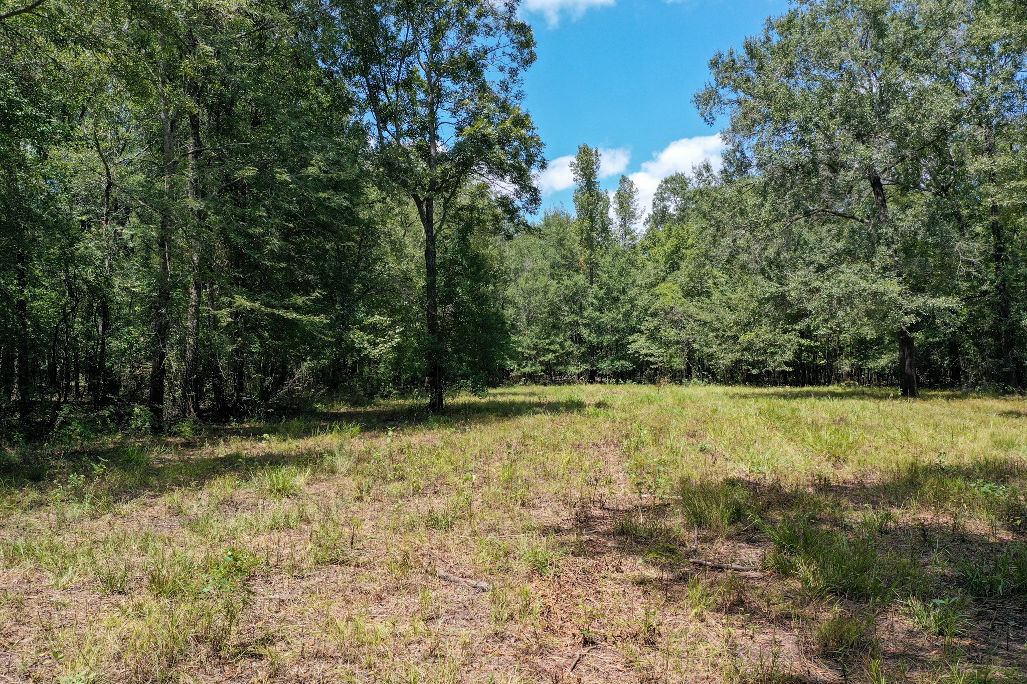 0 Private Road 1428 Centerville TX 75833