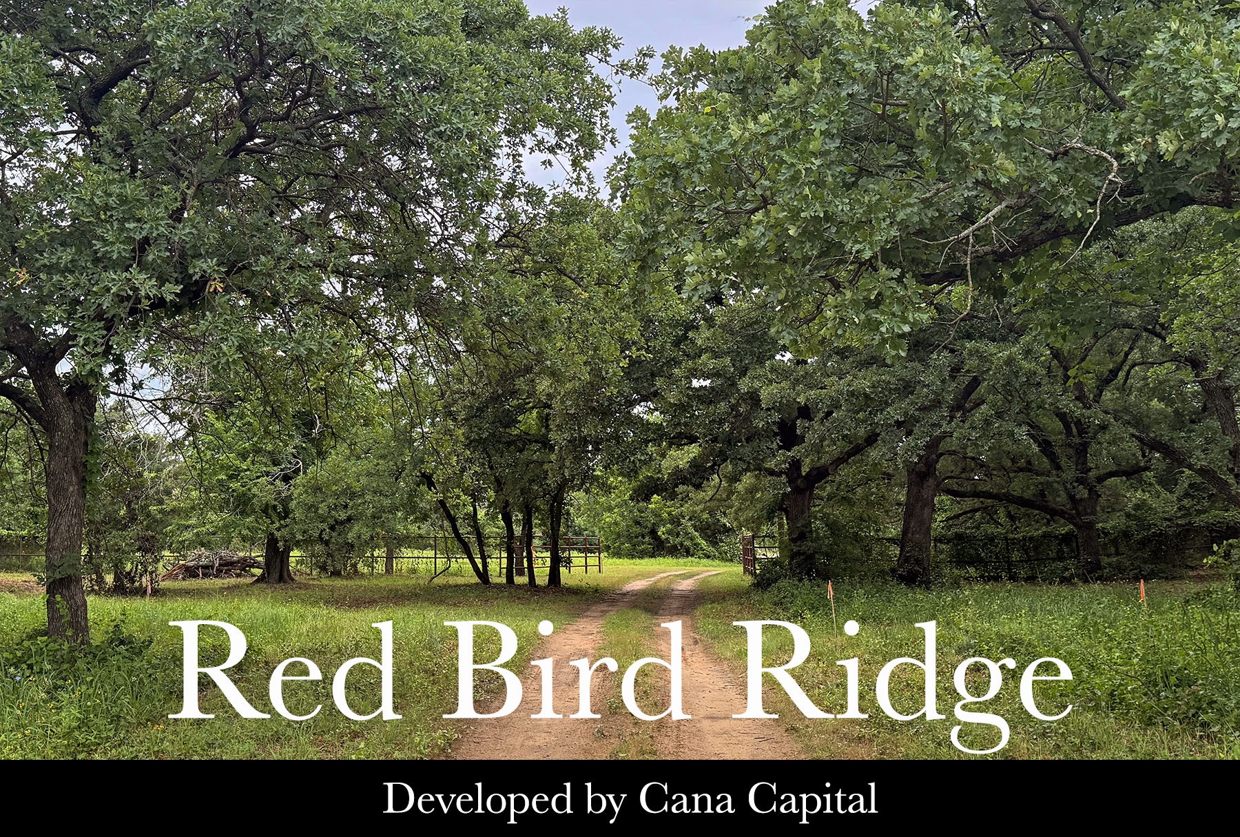 1111 Ellen Donald Lane Argyle TX 76226