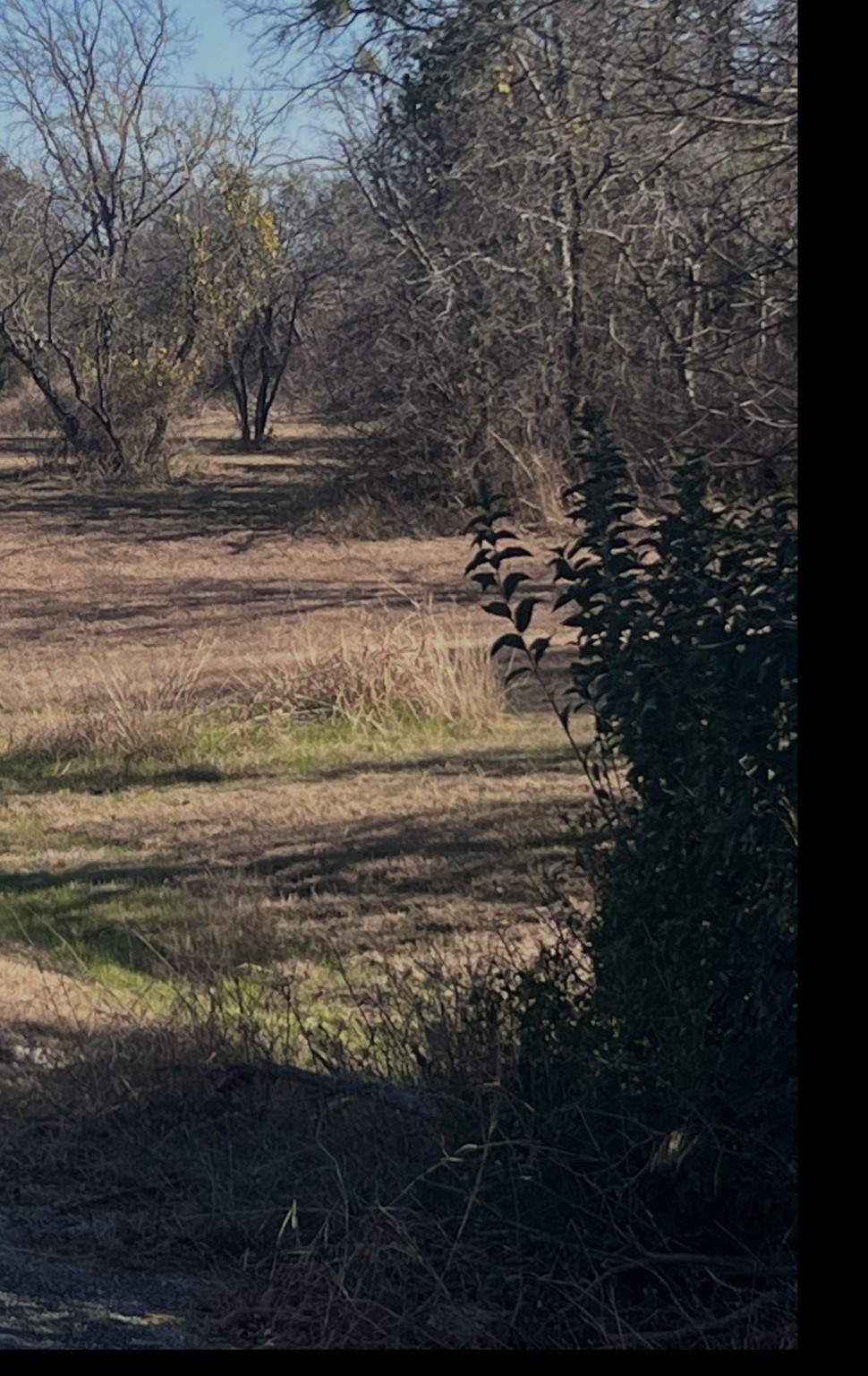 2 Lots Lanai Drive Runaway Bay TX 76426