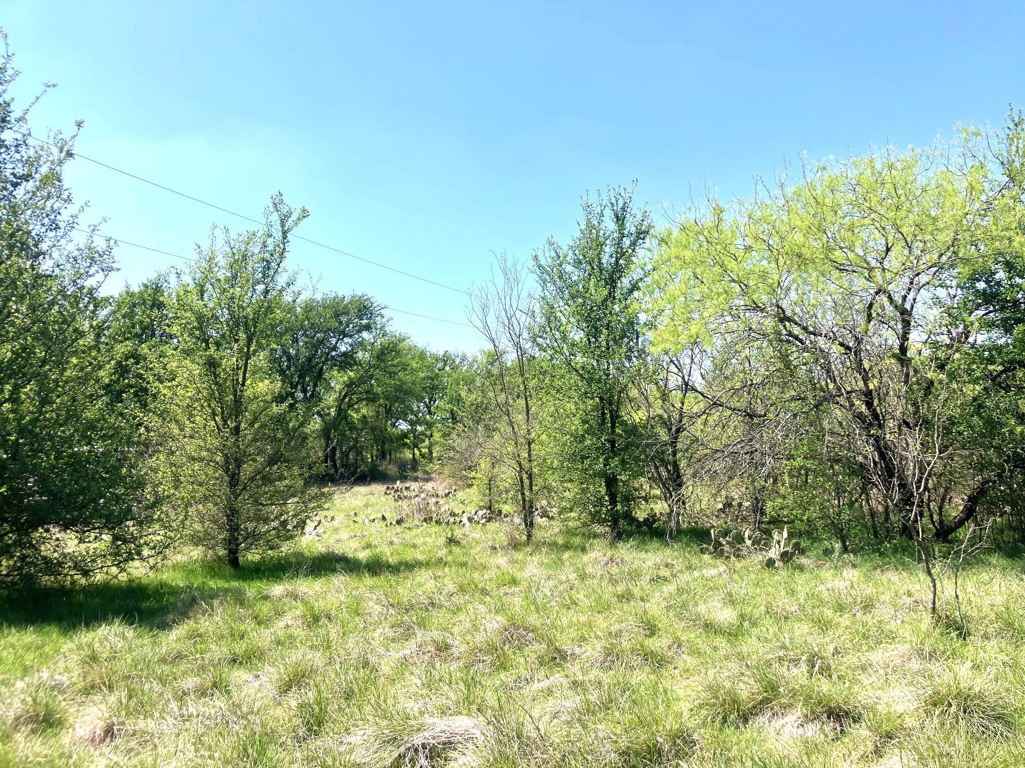 780 County Road 410a Comanche TX 76442