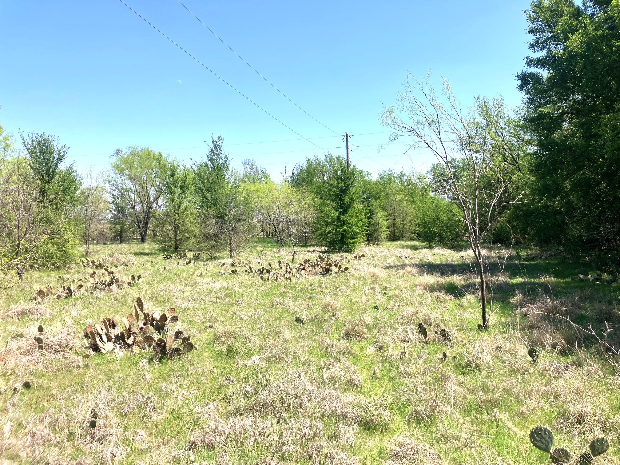 780 County Road 410a Comanche TX 76442