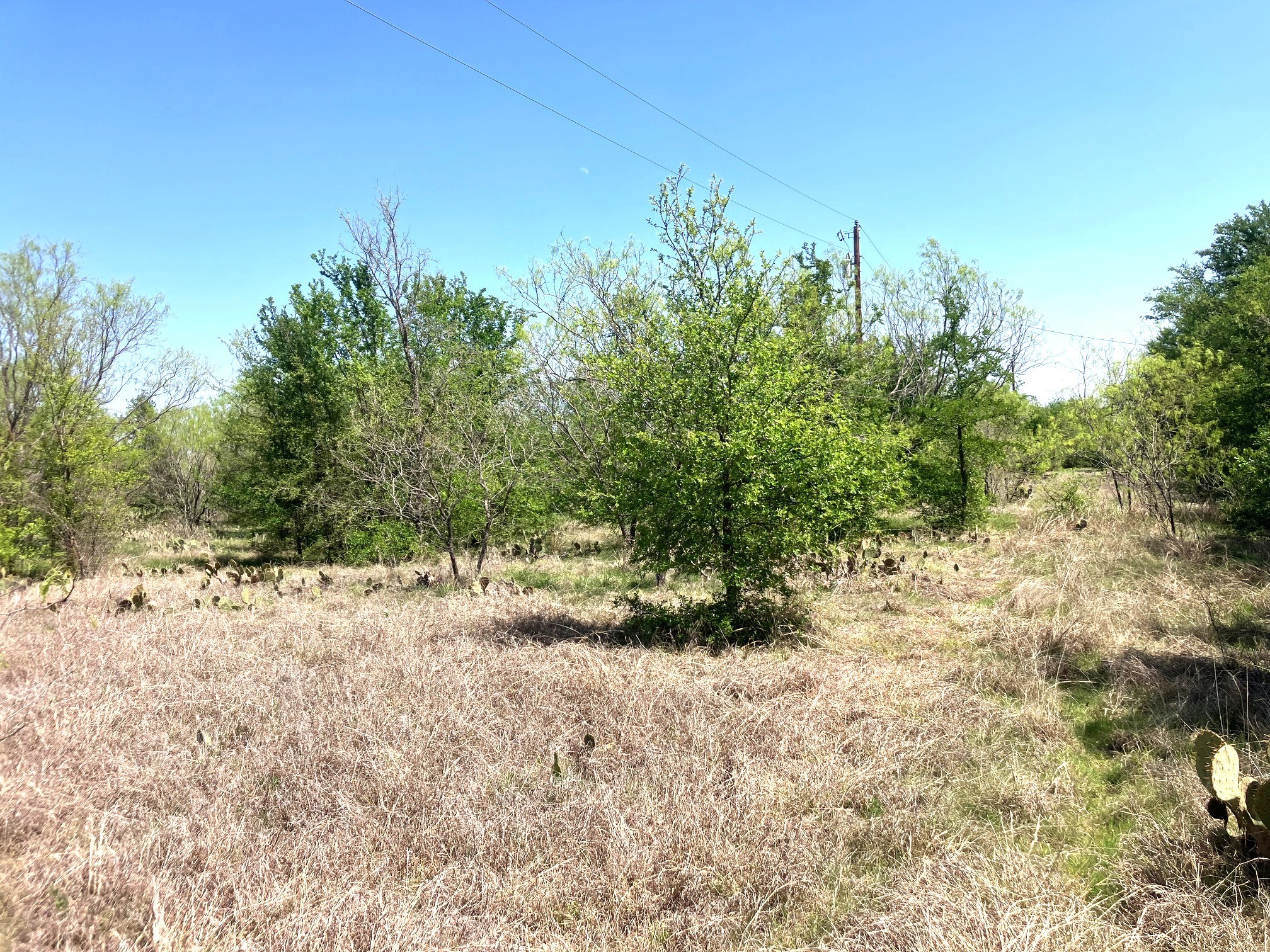 780 County Road 410a Comanche TX 76442