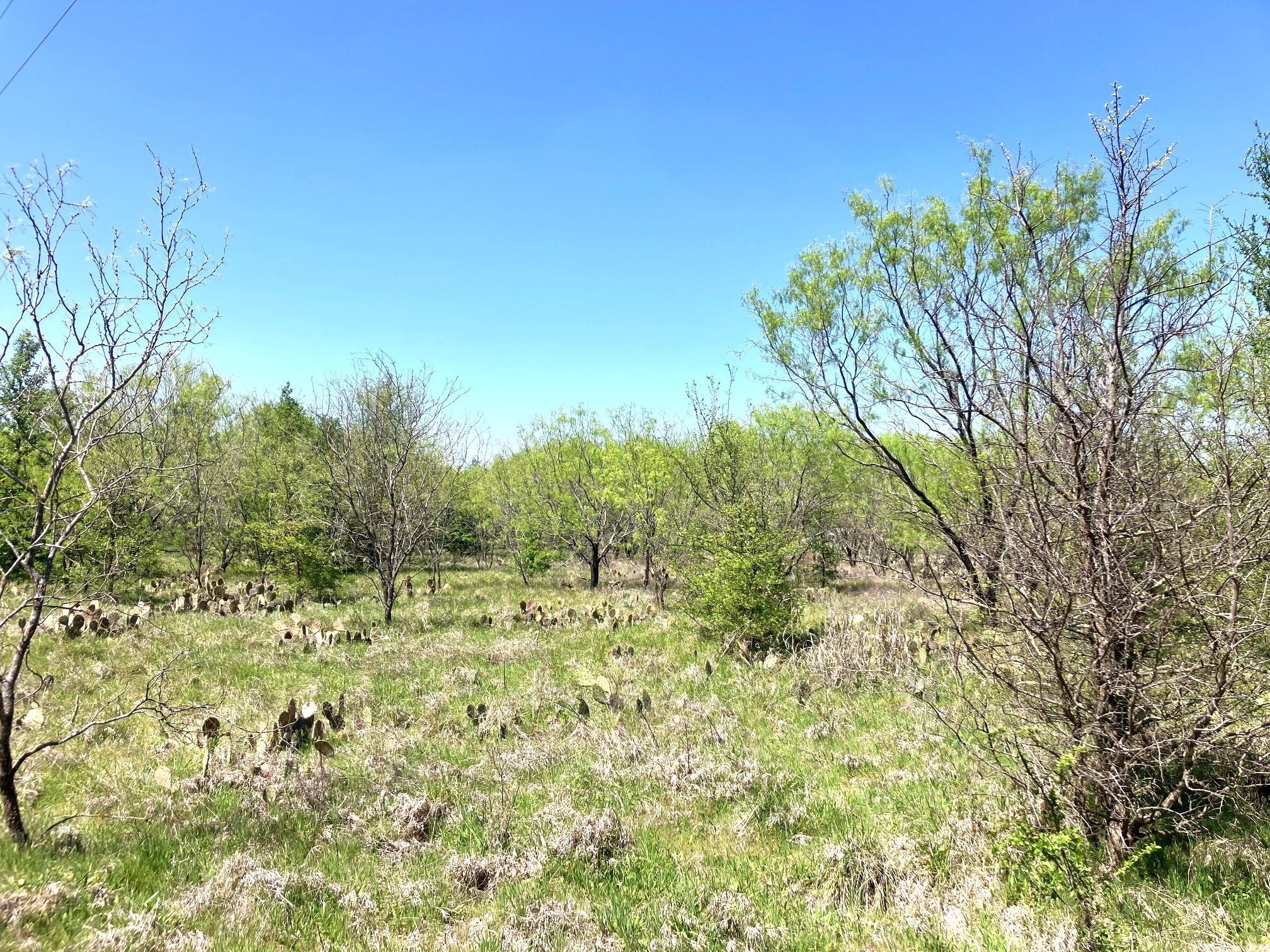 780 County Road 410a Comanche TX 76442