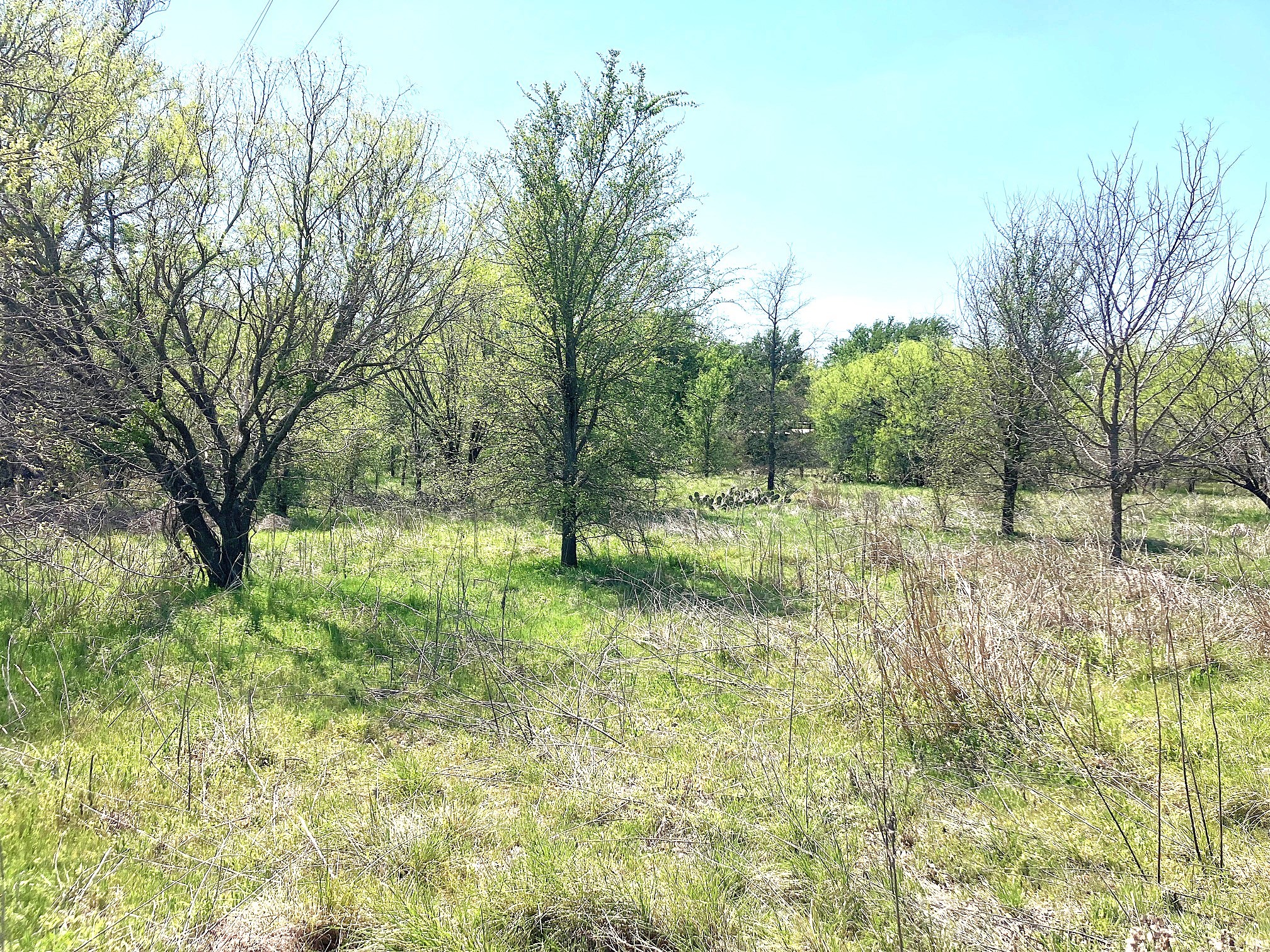 780 County Road 410a Comanche TX 76442