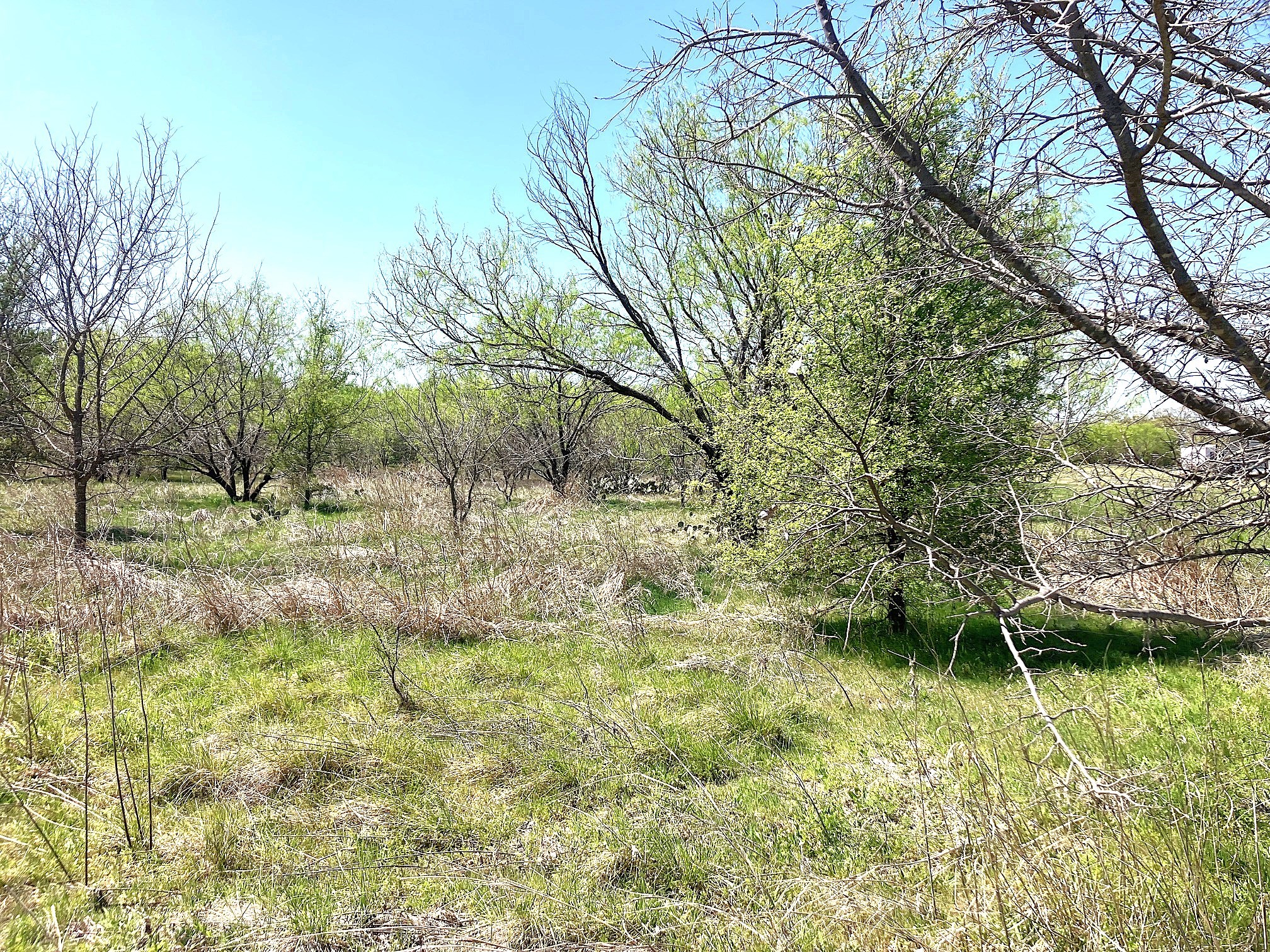 780 County Road 410a Comanche TX 76442