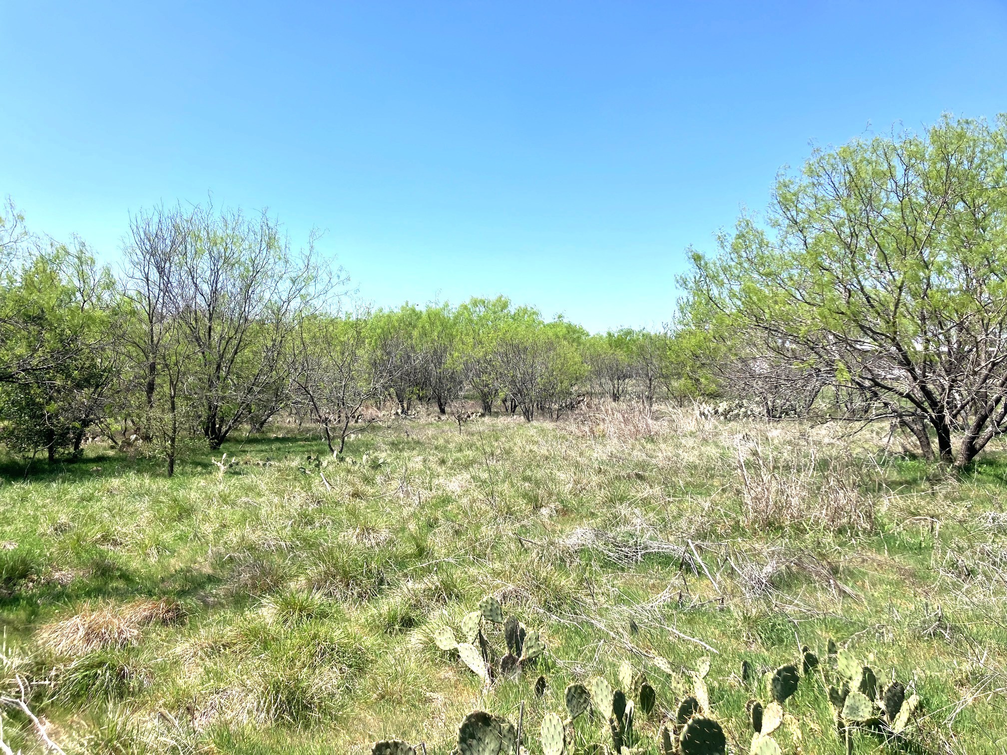780 County Road 410a Comanche TX 76442
