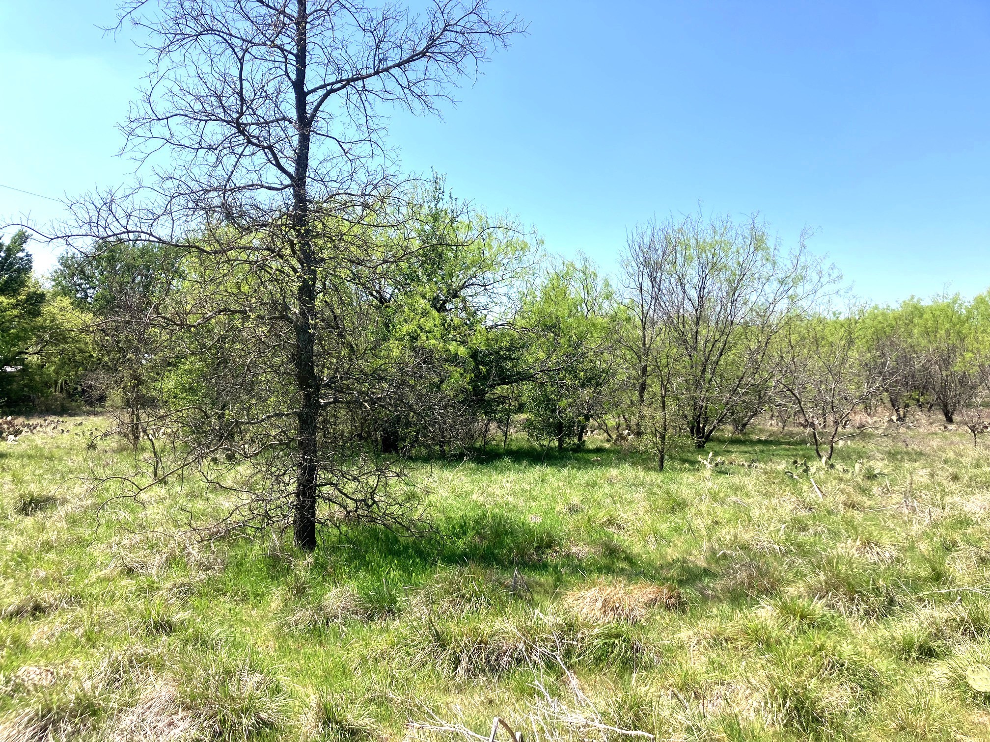 780 County Road 410a Comanche TX 76442