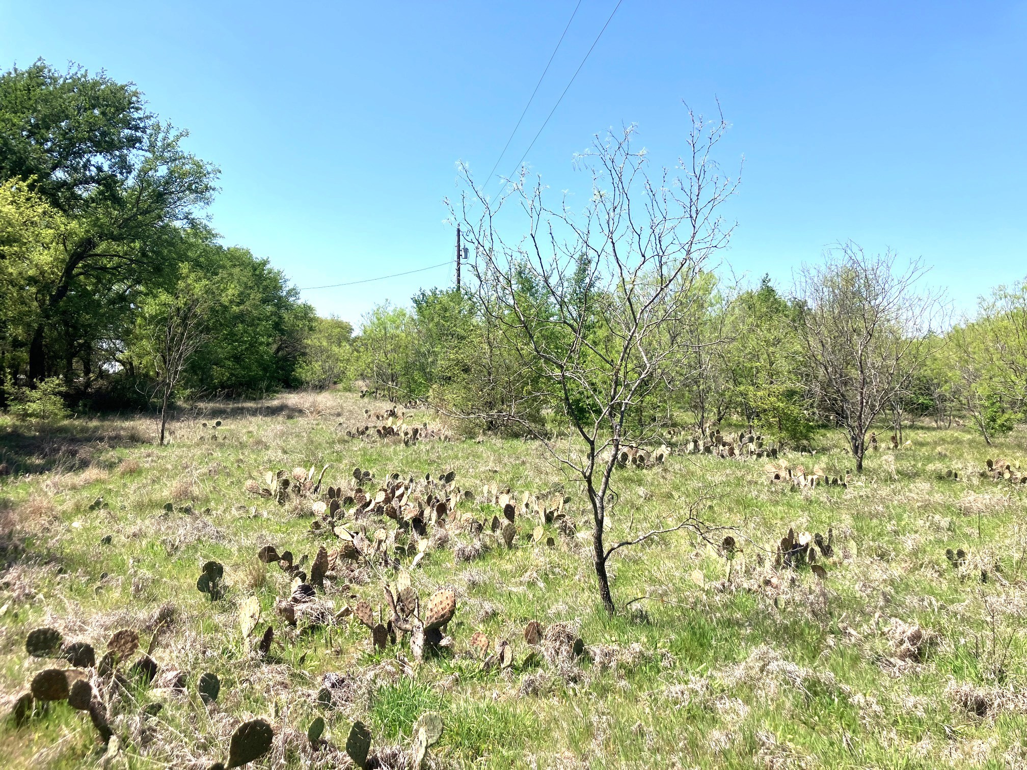 780 County Road 410a Comanche TX 76442