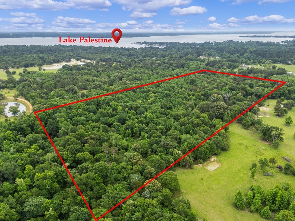 00 County Road 3105 Chandler TX 75758
