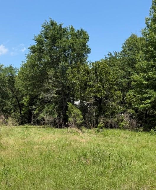 00 County Road 3105 Chandler TX 75758