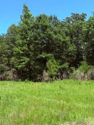 0 County Road 3105 Chandler TX 75758