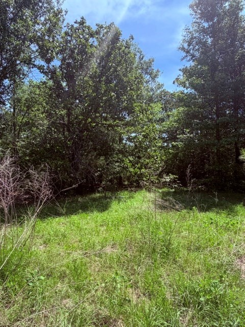 00 County Road 3105 Chandler TX 75758