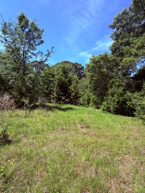 00 County Road 3105 Chandler TX 75758