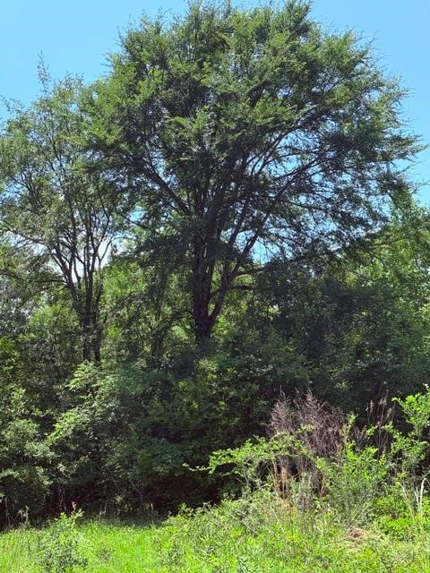 00 County Road 3105 Chandler TX 75758