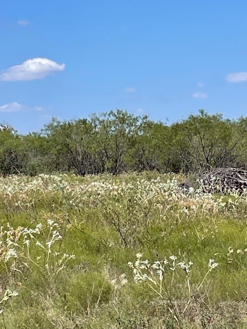 Tbd County Road 3241 Hubbard TX 76648