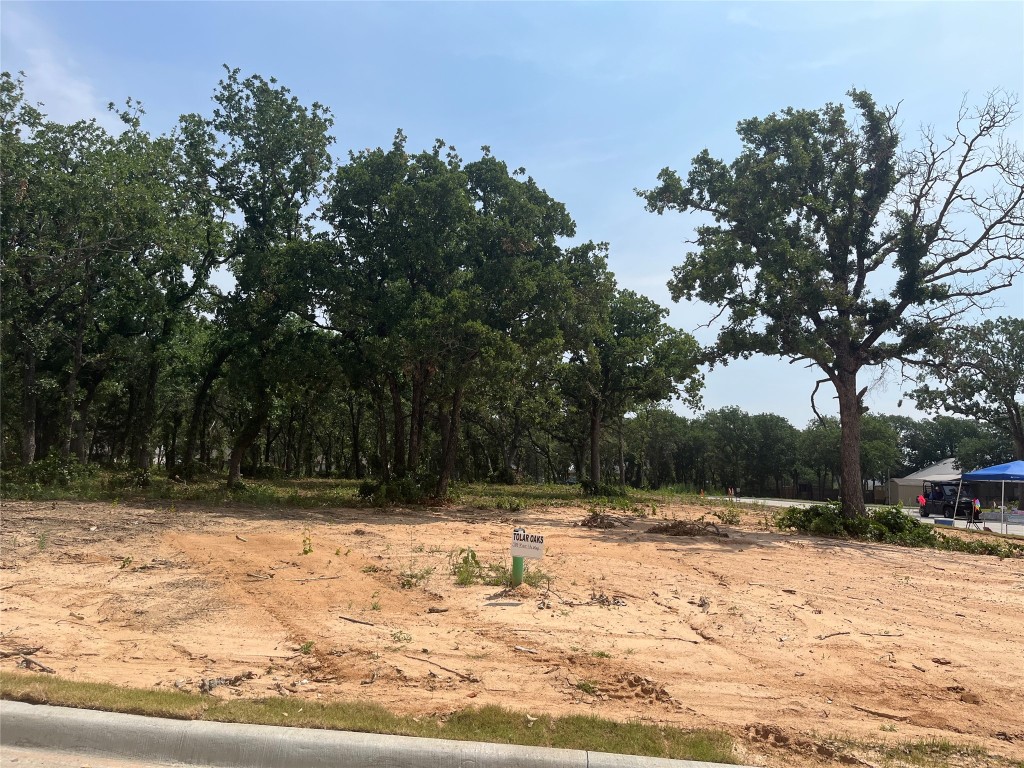 304 Peace Lily Way Tolar TX 76476