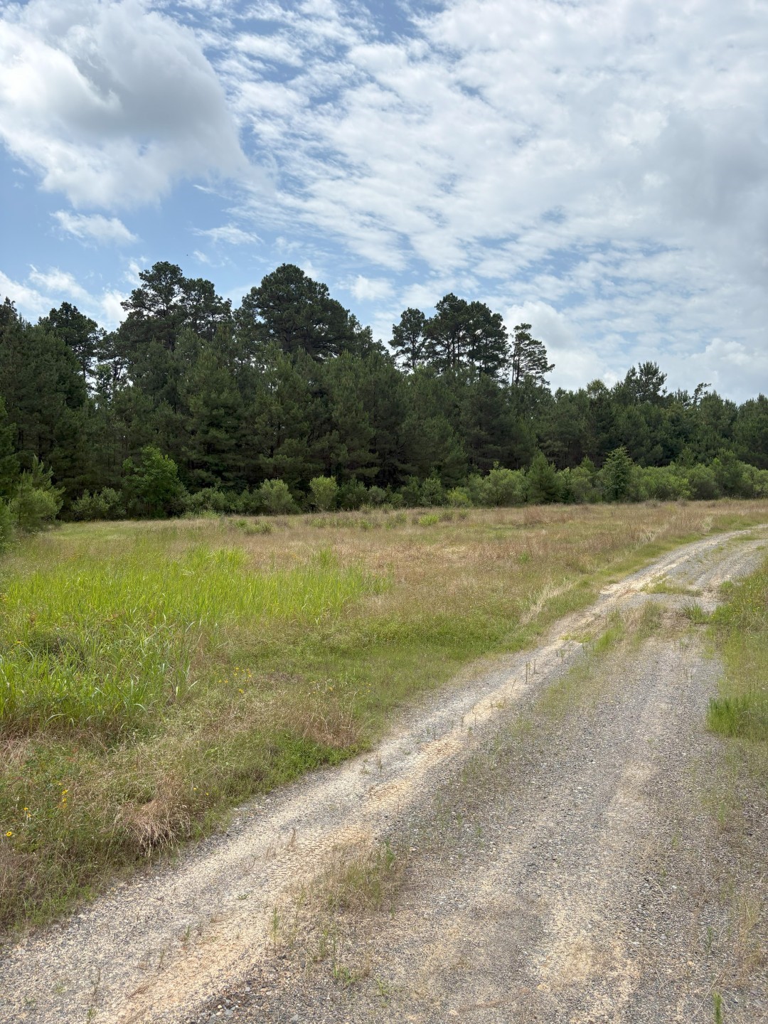 Tbd County Road 425 Tenaha TX 75974