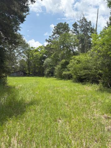 Tbd County Road 425 Tenaha TX 75974