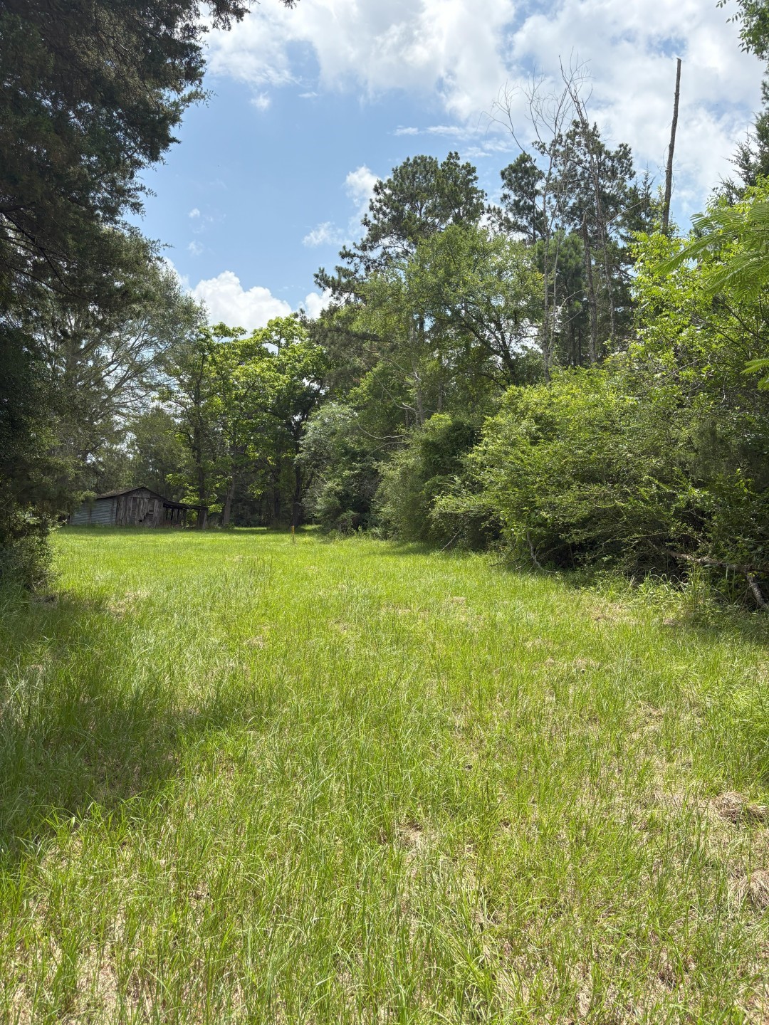 Tbd County Road 425 Tenaha TX 75974