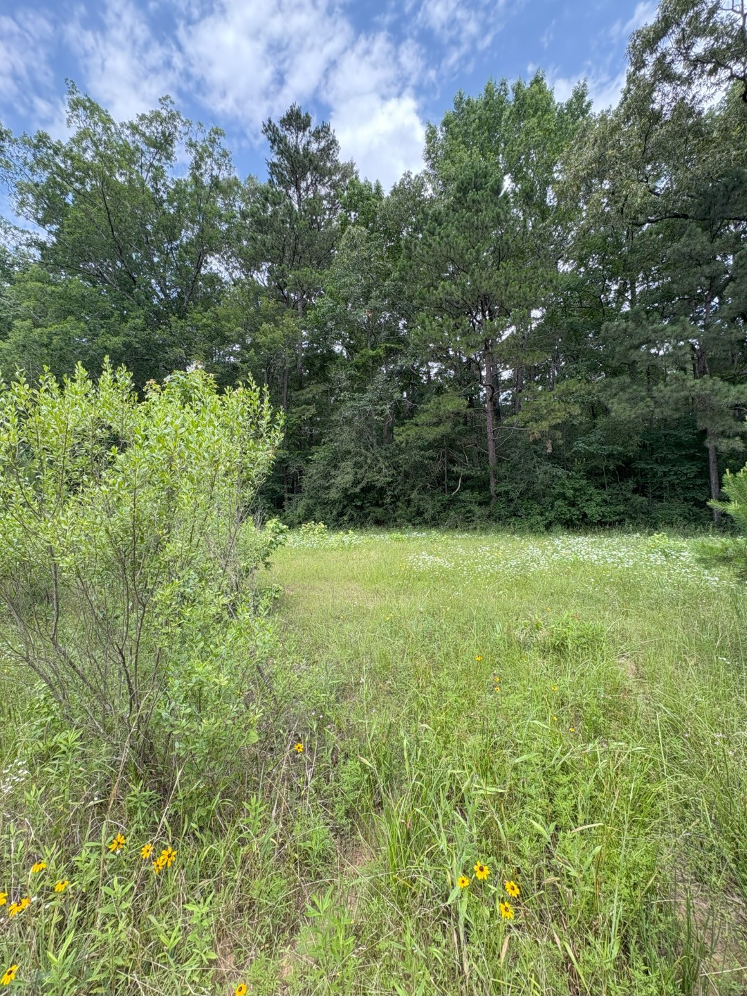 Tbd County Road 425 Tenaha TX 75974