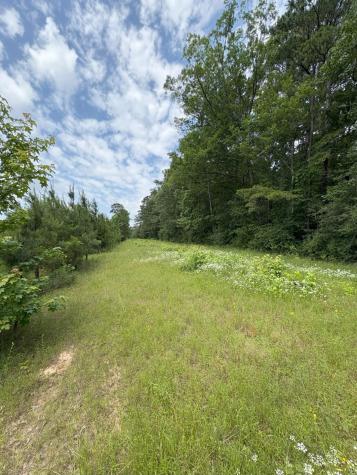 Tbd County Road 425 Tenaha TX 75974